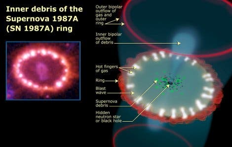 Die Supernova von 1987 im Schema