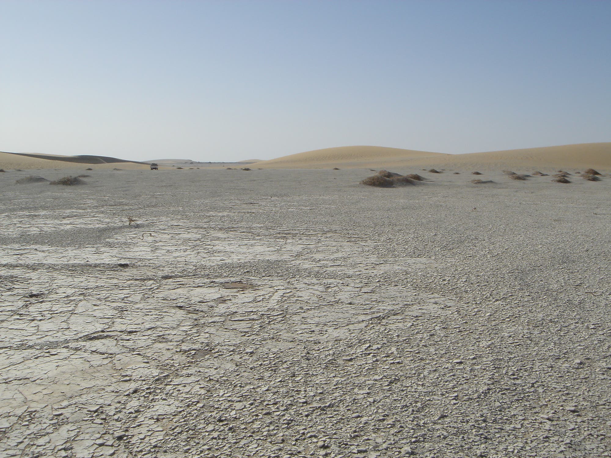 Fundort Djurab-Wüste