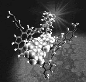 Molekulare Zange