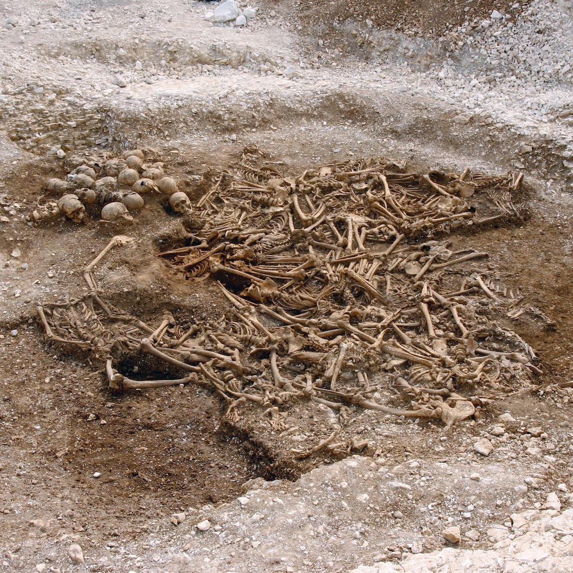 Rund 50 Skelette ohne Kopf von Wikingern in einem Massengrab im britischen Dorset