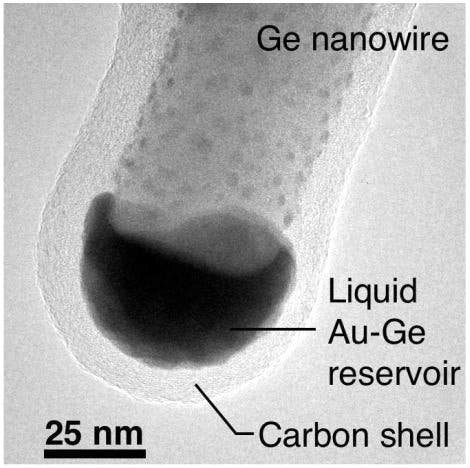Spitze der Nanopipette