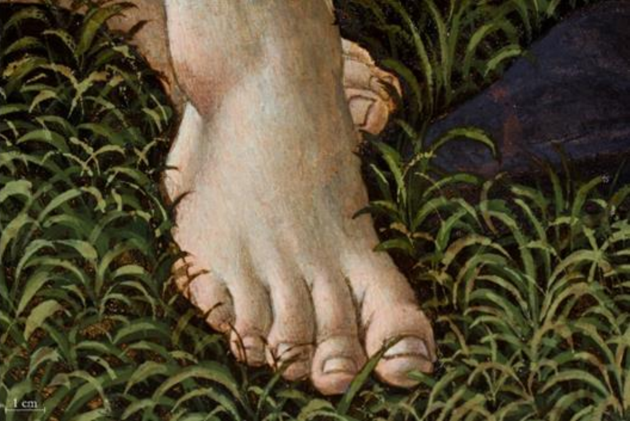 Fuß des Johannes in Botticellis »Beweinung Christi«.