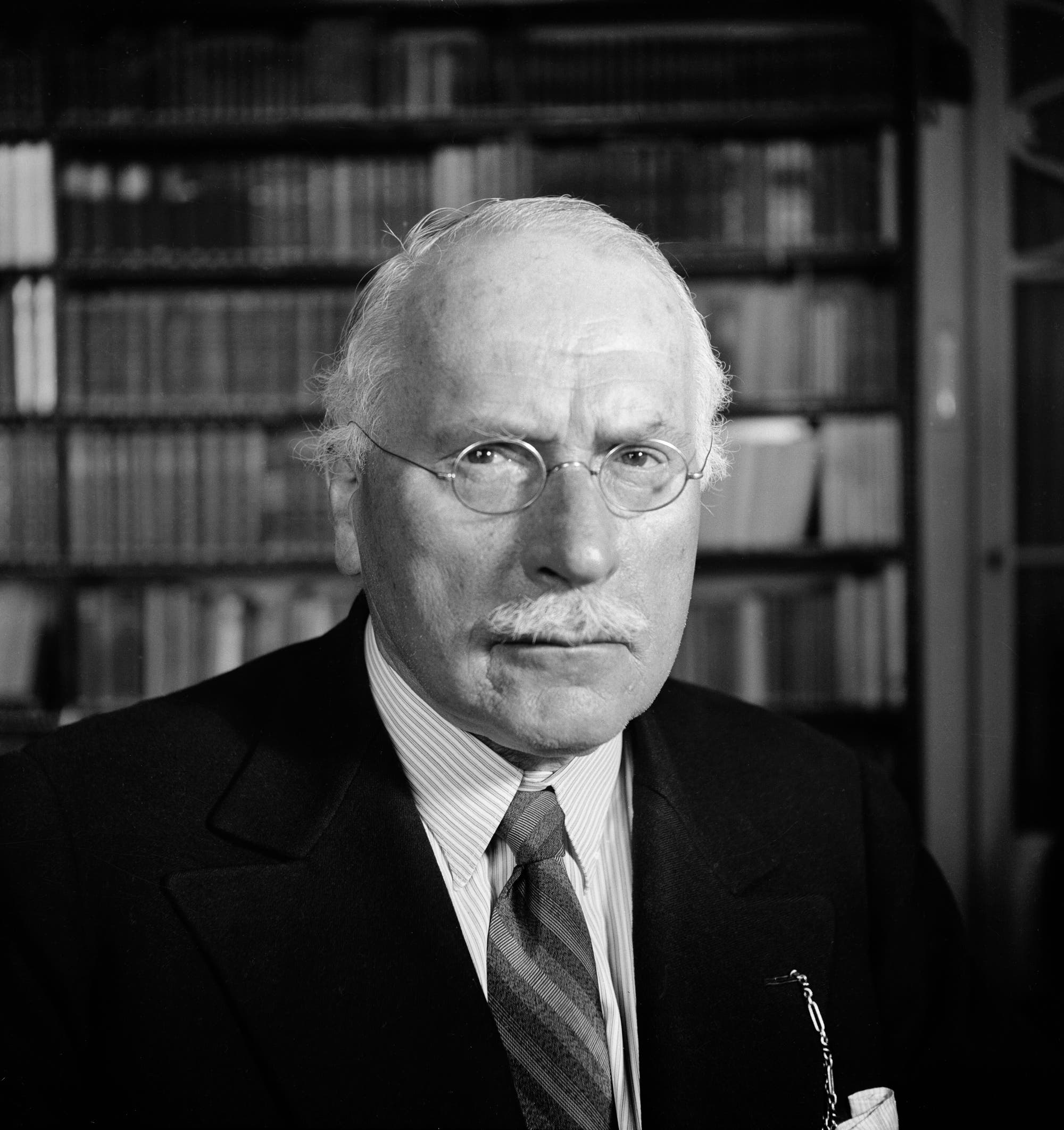 Ein älterer Mann mit weißem Haar, Brille und Schnurrbart sitzt oder steht in einem Raum mit Bücherregalen im Hintergrund. Er trägt einen Anzug mit Krawatte und schaut ernst in die Kamera.