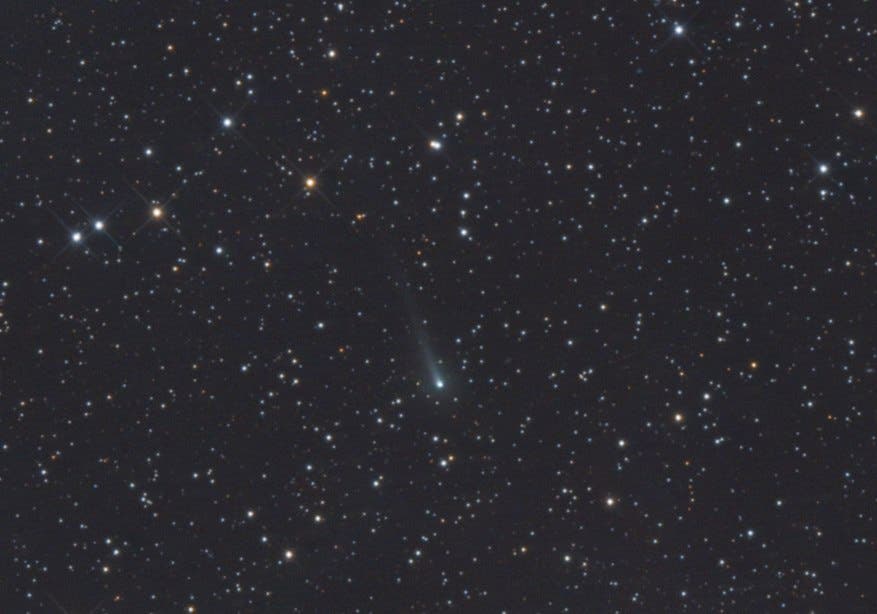 Ein astronomisches Bild zeigt einen sternenübersäten Nachthimmel mit einem Kometen in der Bildmitte. Der Komet hat einen leuchtenden Kern und einen schwach sichtbaren Schweif, der nach oben rechts verläuft. Umgeben von zahlreichen Sternen unterschiedlicher Helligkeit und Farben, darunter einige orange und blaue Sterne. Der Hintergrund ist tiefschwarz, was die Helligkeit der Sterne und des Kometen betont.