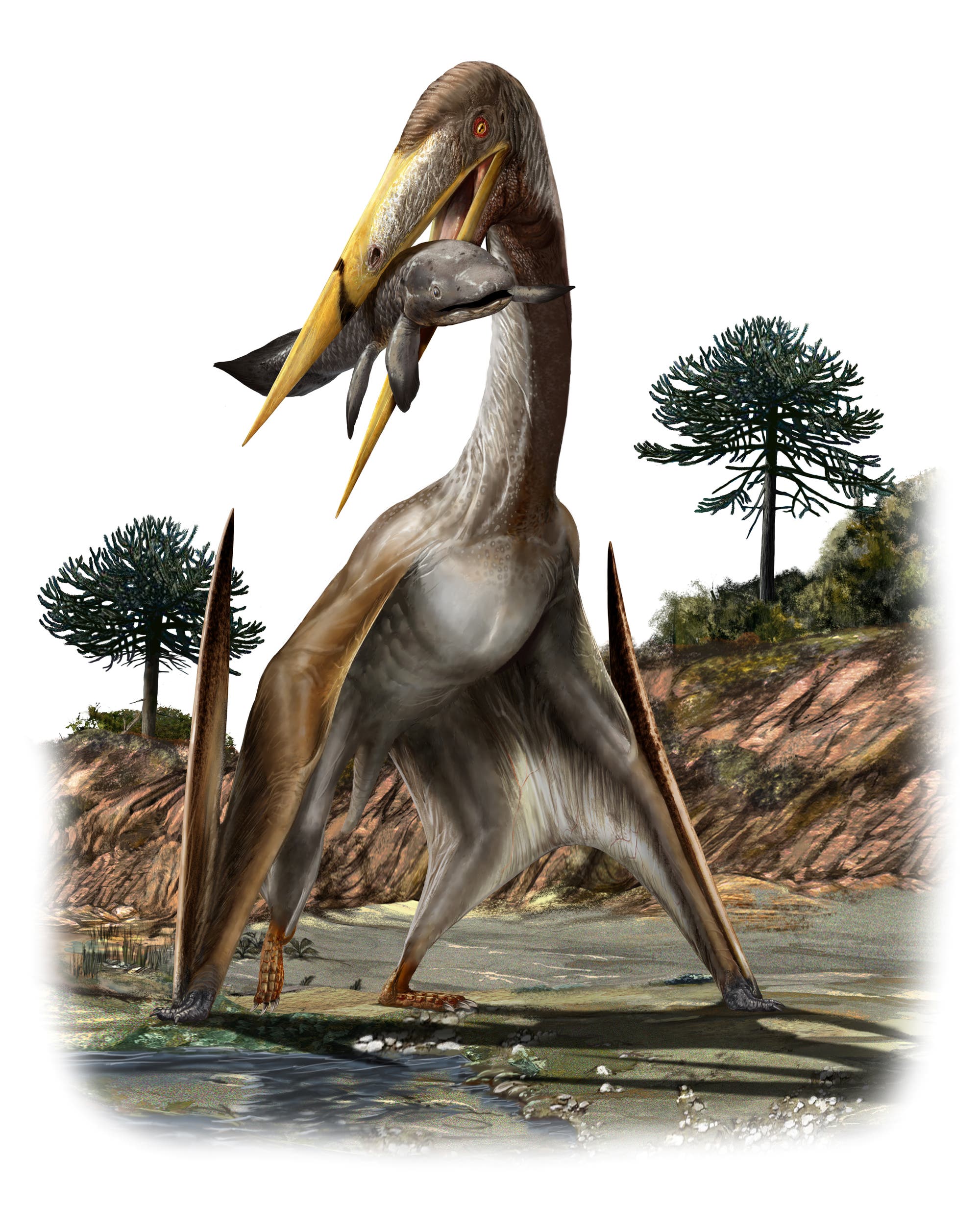 Pterosaurier mit Beute