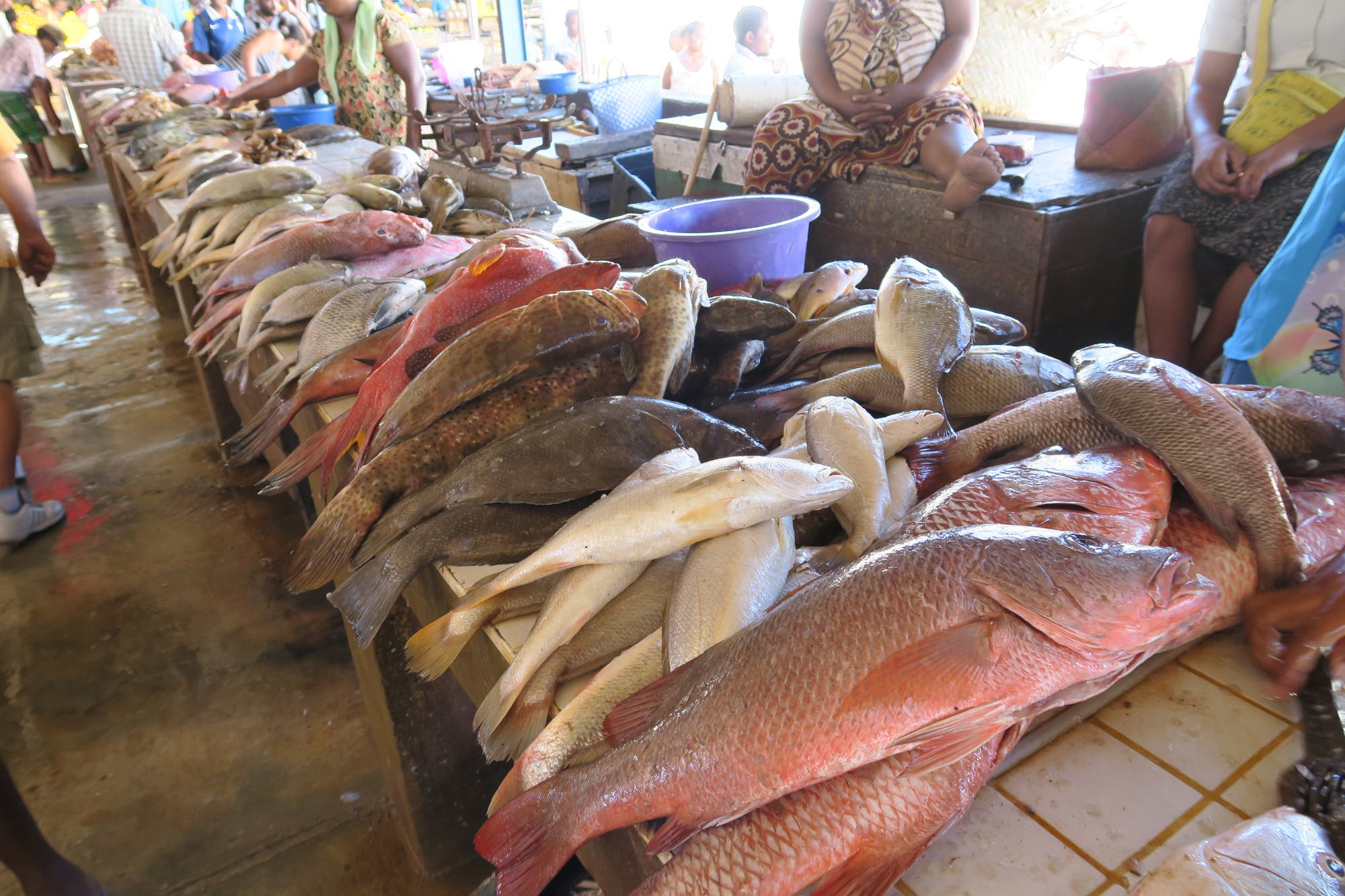 Fischmarkt auf Madagaskar