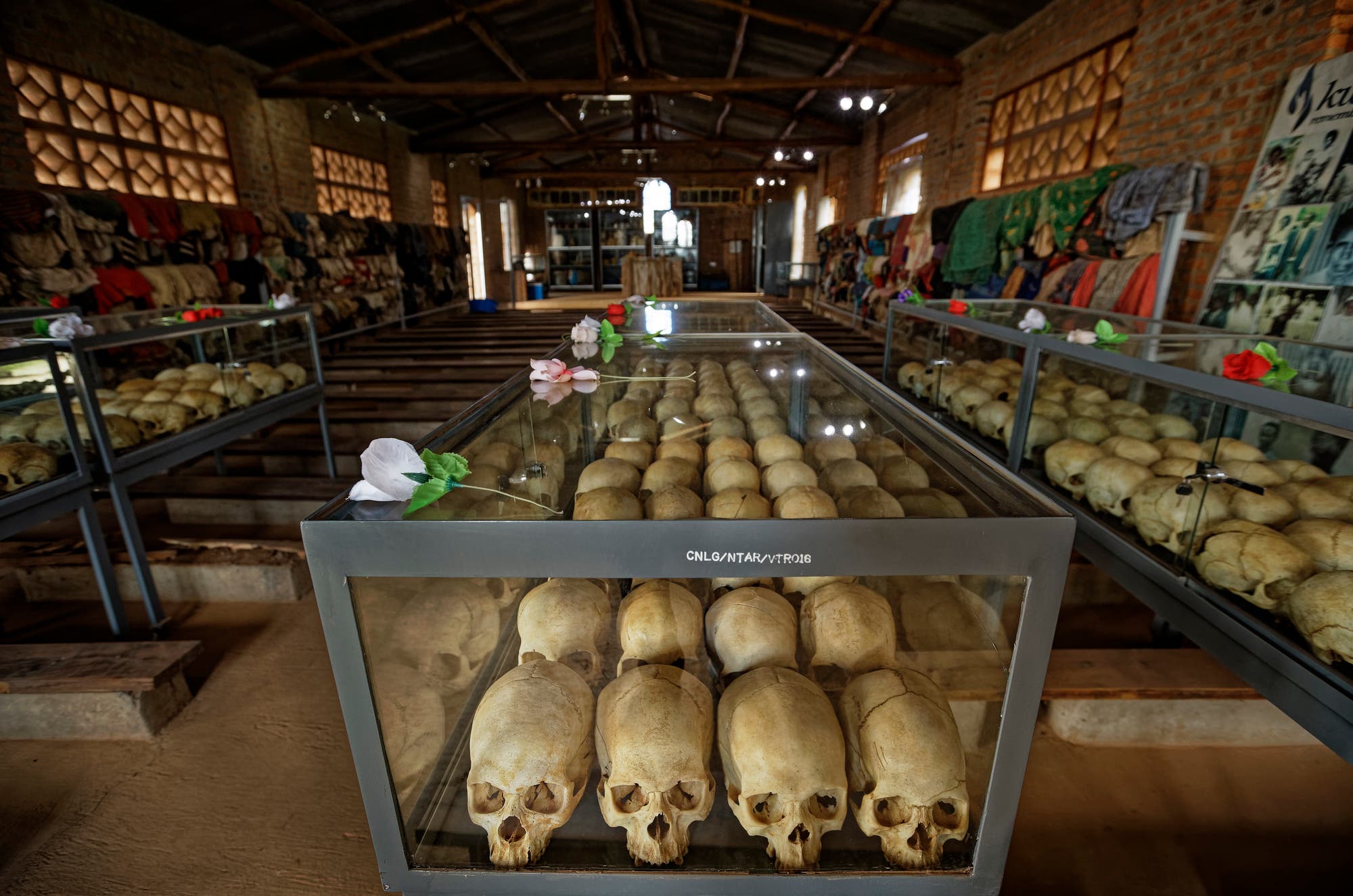 Auf Regalen in einer Kirche sind reihenweise Totenschädel ausgestellt