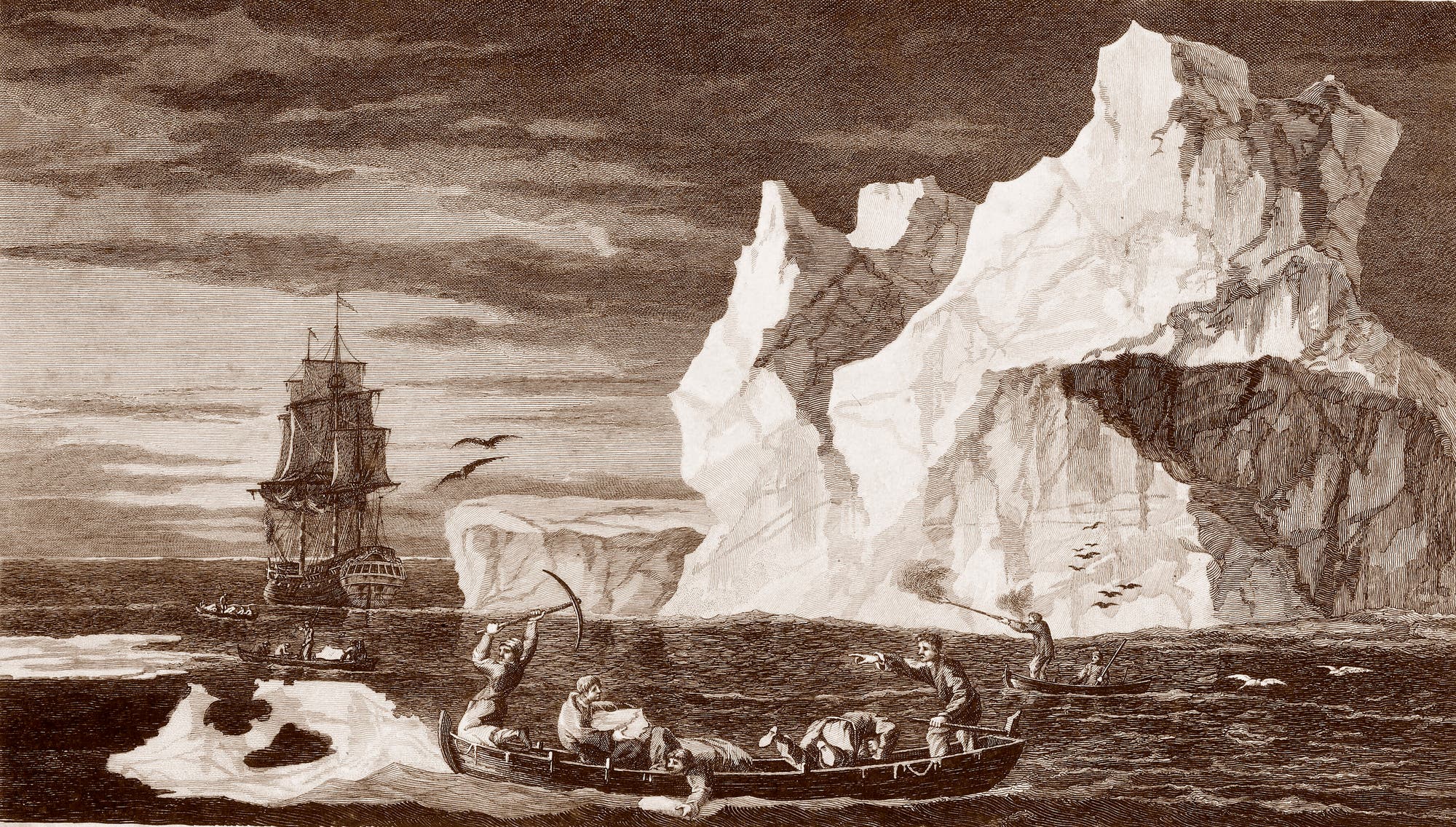 Eine historische Gravur zeigt eine dramatische Szene in antarktischer Umgebung. Im Vordergrund sind mehrere kleine Boote mit Menschen zu sehen, die mit Harpunen auf der Jagd sind. Im Hintergrund erhebt sich ein großes Segelschiff vor einer beeindruckenden Kulisse aus massiven Eisbergen. Der Himmel ist bewölkt, und Vögel fliegen über das Wasser. Die Darstellung vermittelt eine Atmosphäre von Abenteuer und Entdeckung in einer rauen, eisigen Landschaft.