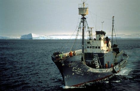 Walfangschiff