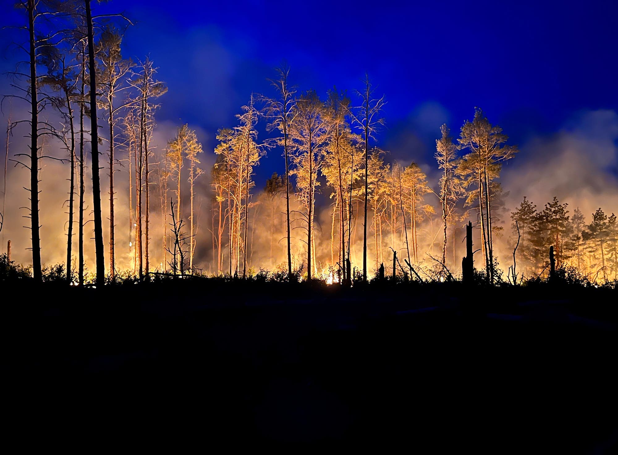 Flammen erhellen am späten Abend ein Waldstück nahe Jüterbog im Juni 2023.