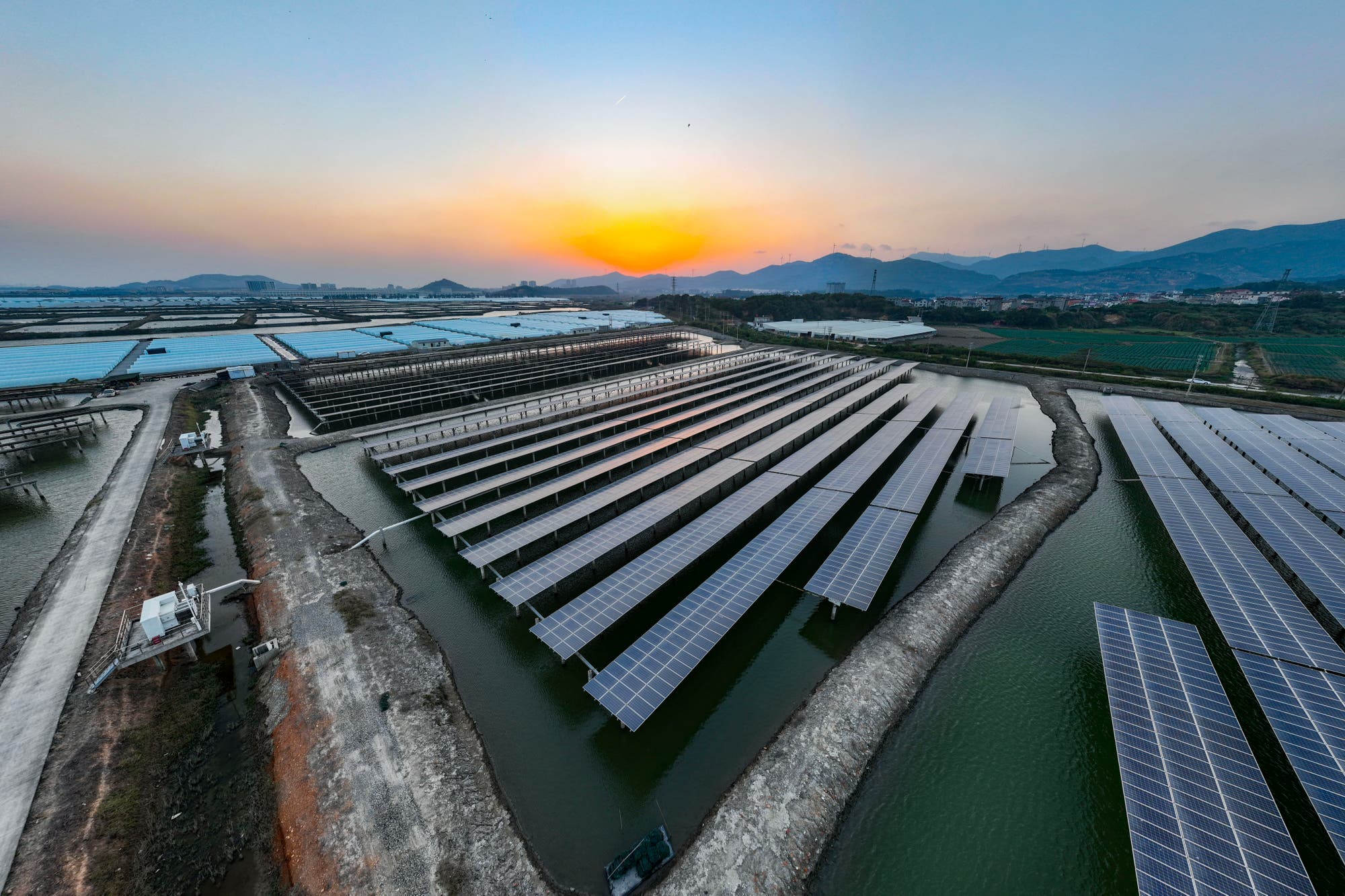 Fisch-Solarfarm-Kombination in China