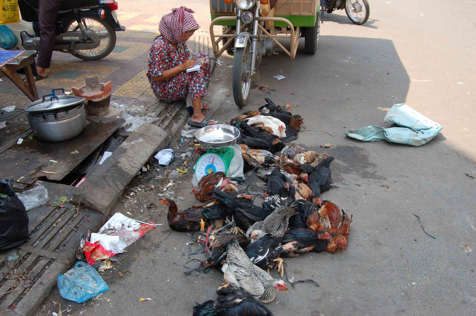Huhn in Kambodscha