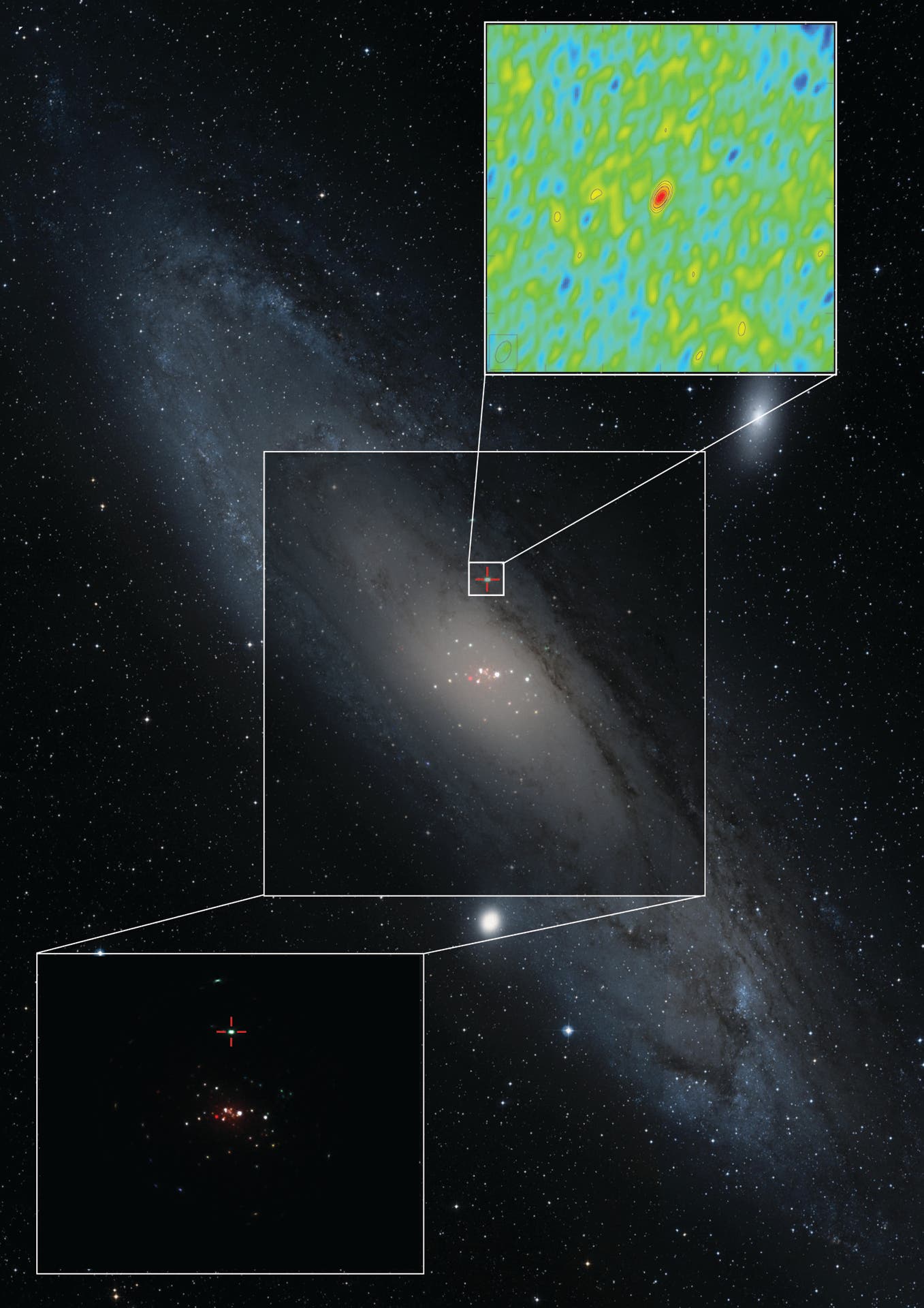 Ultrahelle Röntgenquelle in der Andromedagalaxie