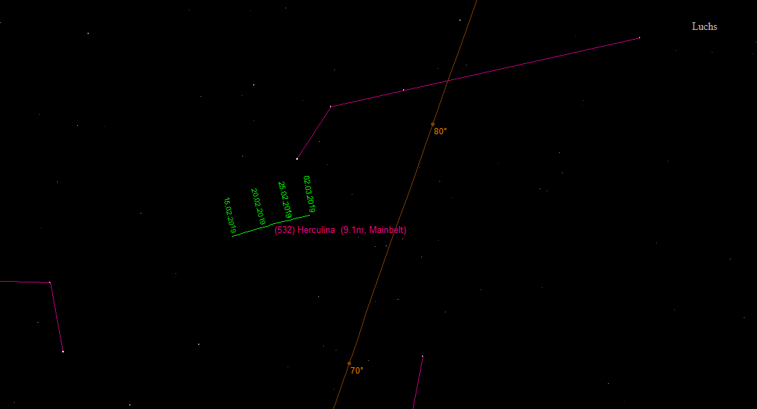 Aufsuchkarte für (532) Herculina im Sternbild Luchs