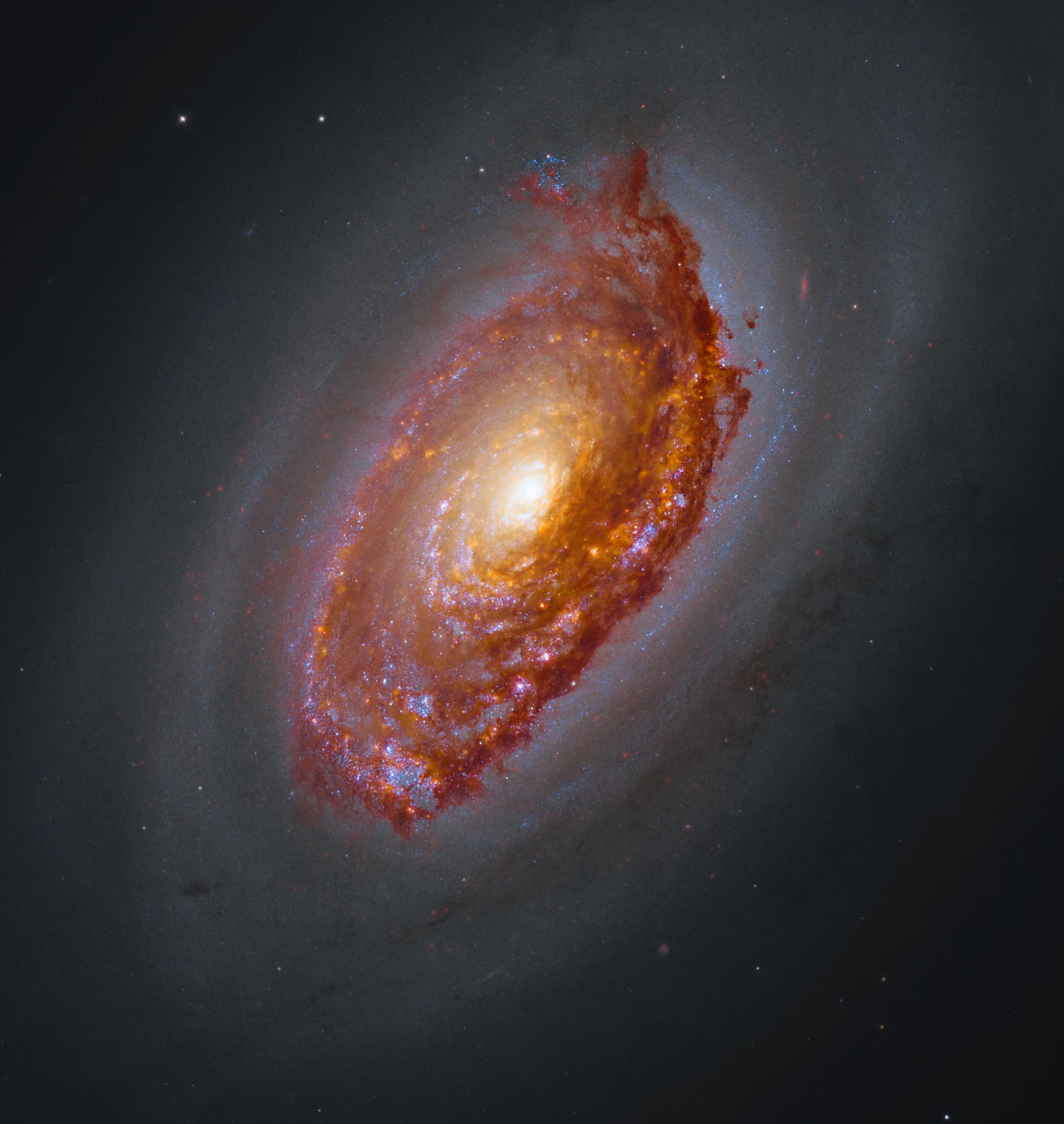 Eine farbenfrohe Aufnahme einer Spiralgalaxie im Weltraum. Die Galaxie zeigt einen hellen, leuchtenden Kern, umgeben von spiralförmigen Armen, die in Rot-, Blau- und Gelbtönen leuchten. Der Hintergrund ist dunkel mit vereinzelten Sternen. Die Struktur der Galaxie und die leuchtenden Farben heben die Details der kosmischen Formation hervor. Eine farbenfrohe Aufnahme einer Spiralgalaxie im Weltraum. Die Galaxie zeigt einen hellen, leuchtenden Kern, umgeben von spiralförmigen Armen, die in Rot-, Blau- und Gelbtönen leuchten. Der Hintergrund ist dunkel mit vereinzelten Sternen. Die Struktur der Galaxie und die leuchtenden Farben heben die Details der kosmischen Formation hervor.