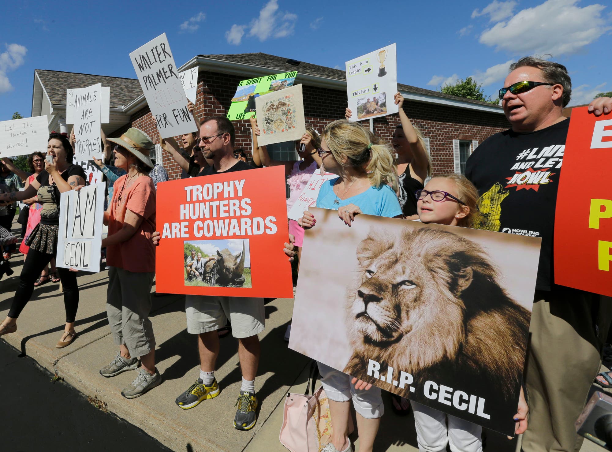 Der Abschuss von Cecil löste weltweit Abscheu und Proteste hervor. Getötet wurde der Löwe anscheinend illegal durch einen US-amerikanischen Zahnarzt.