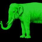 Grüner Elefant