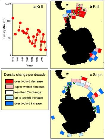 Veränderungen der Krill- und Salpen-Bestände in der Antarktis