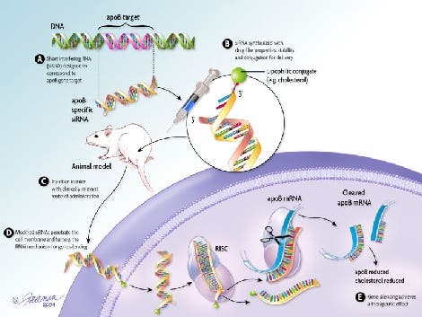 RNA-Interferenz