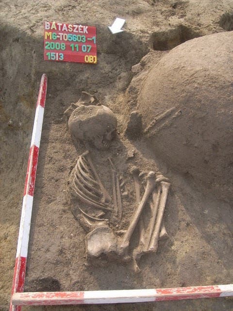 Skelett aus der frühen Jungsteinzeit