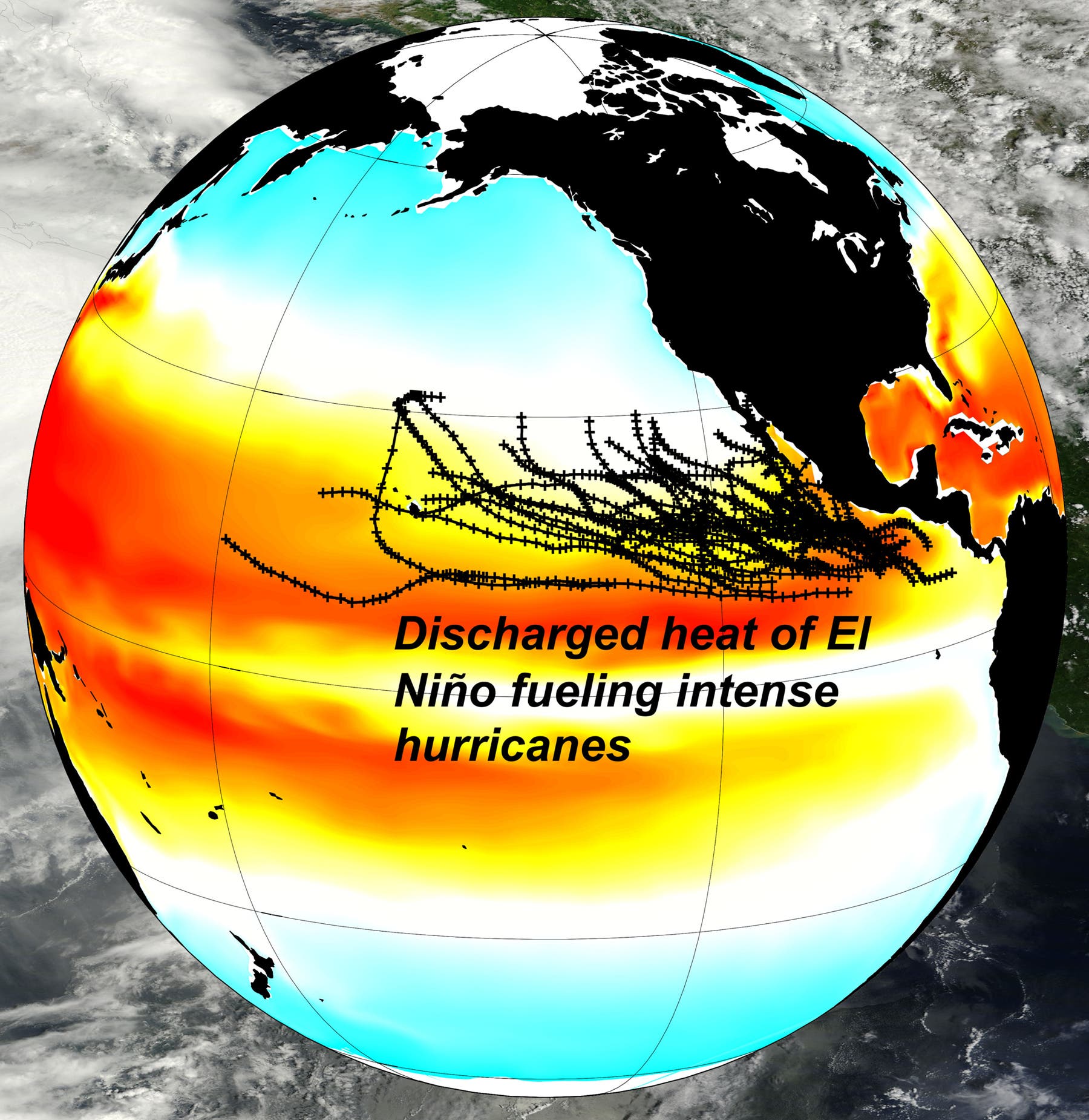 El Niño transferiert Wärme in die hohen Breiten