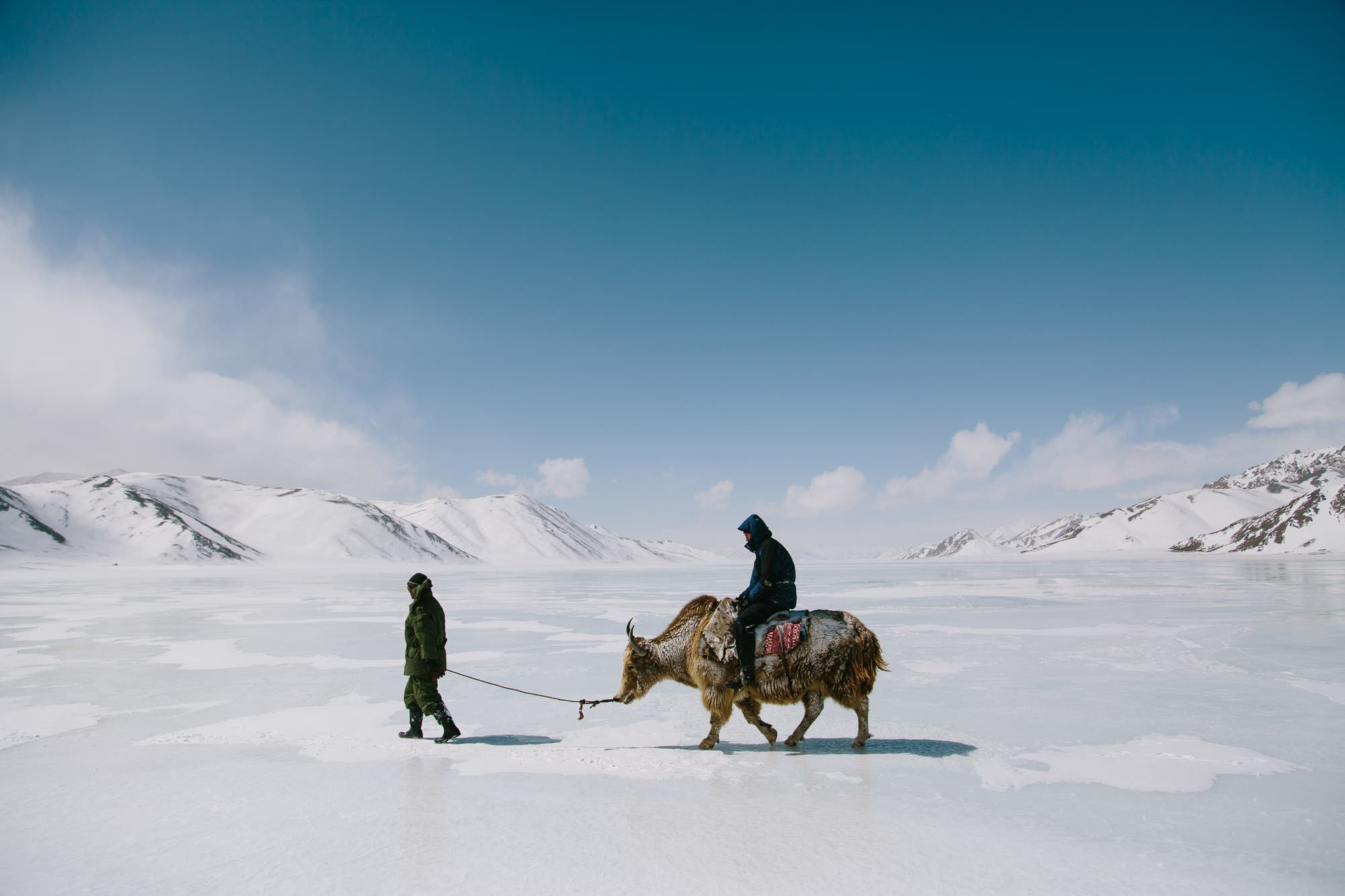 Ein Ranger führt einen Yak mit einem Biologen von Panthera über Eis und Schnee im tadschikischen Hochgebirge.