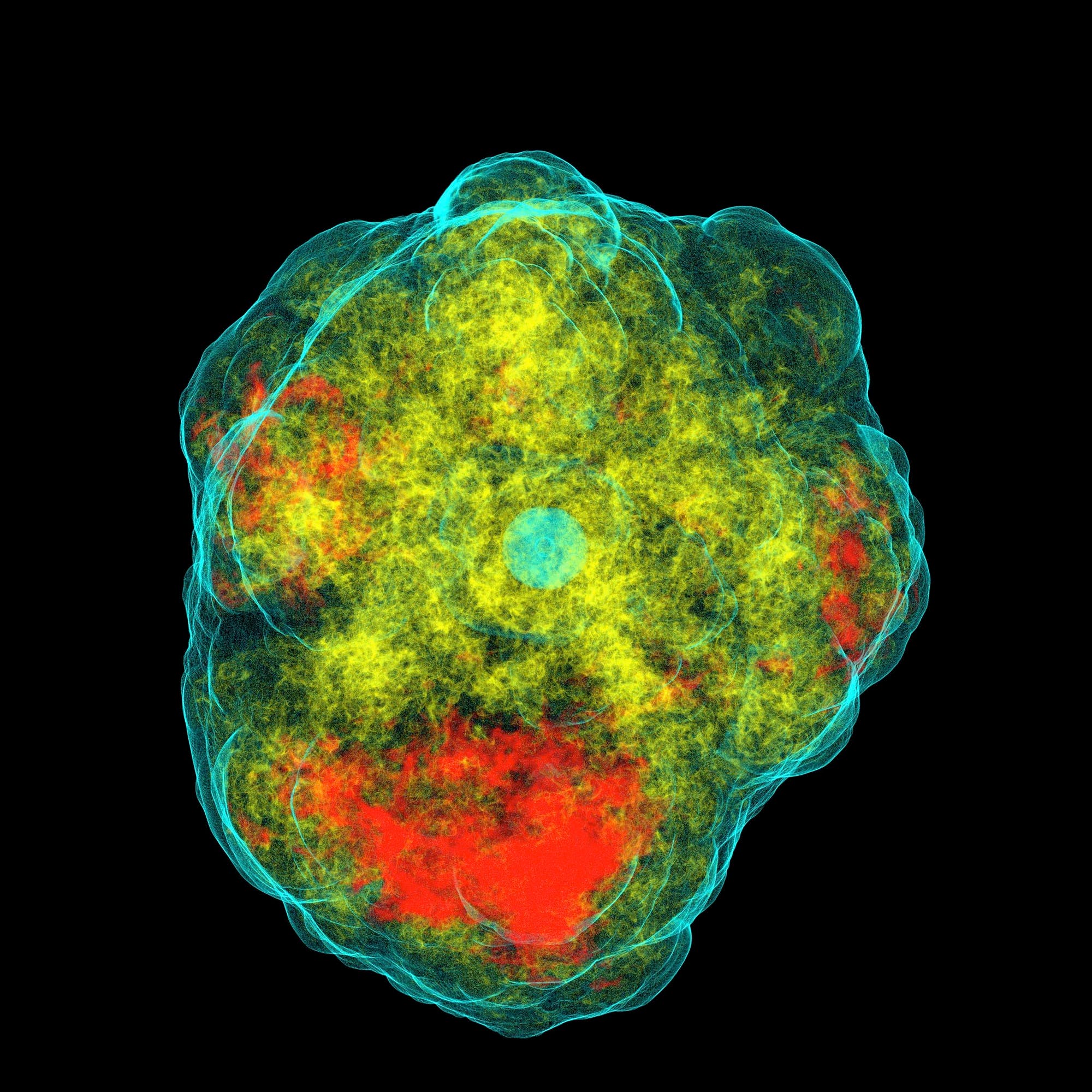 Der Beginn einer Supernova-Explosion (Computersimulation)