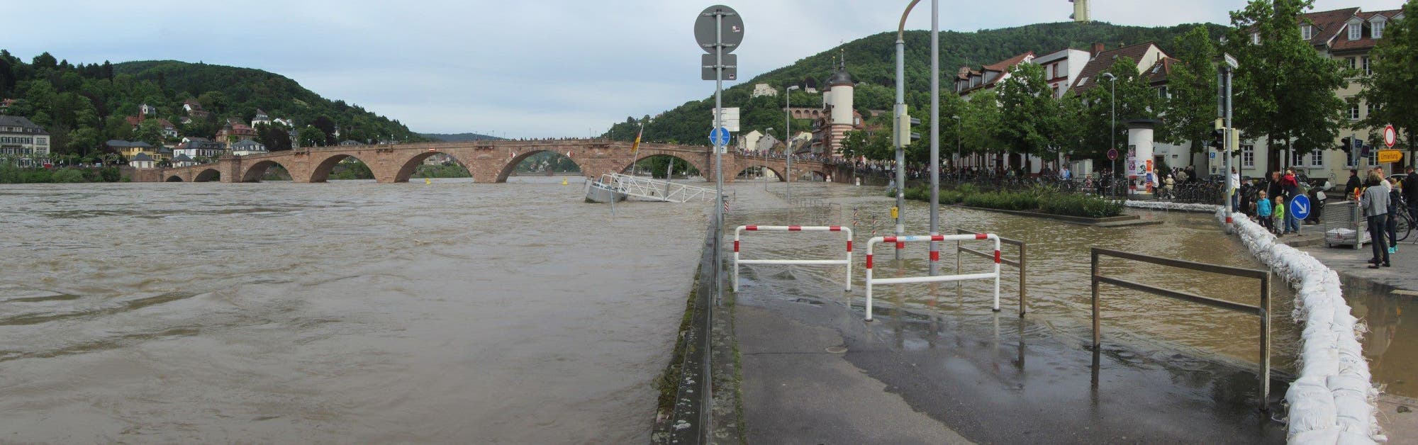 Hochwasser in Heidelberg