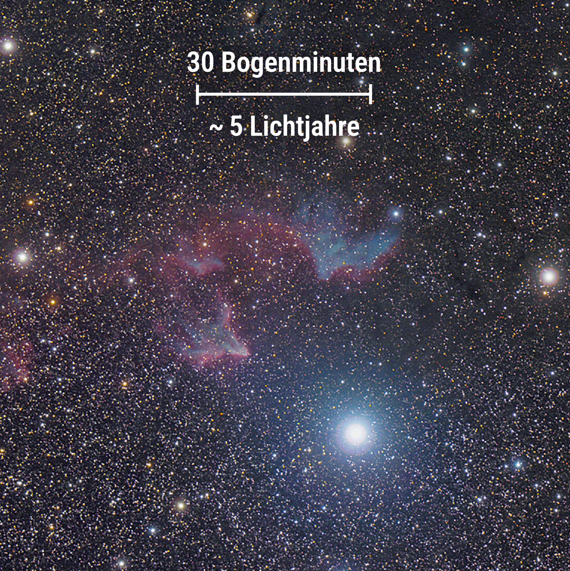 Foto des bläulichen Reflexionsnebels IC 59 und des rötlichen Emissionsnebels IC 63.