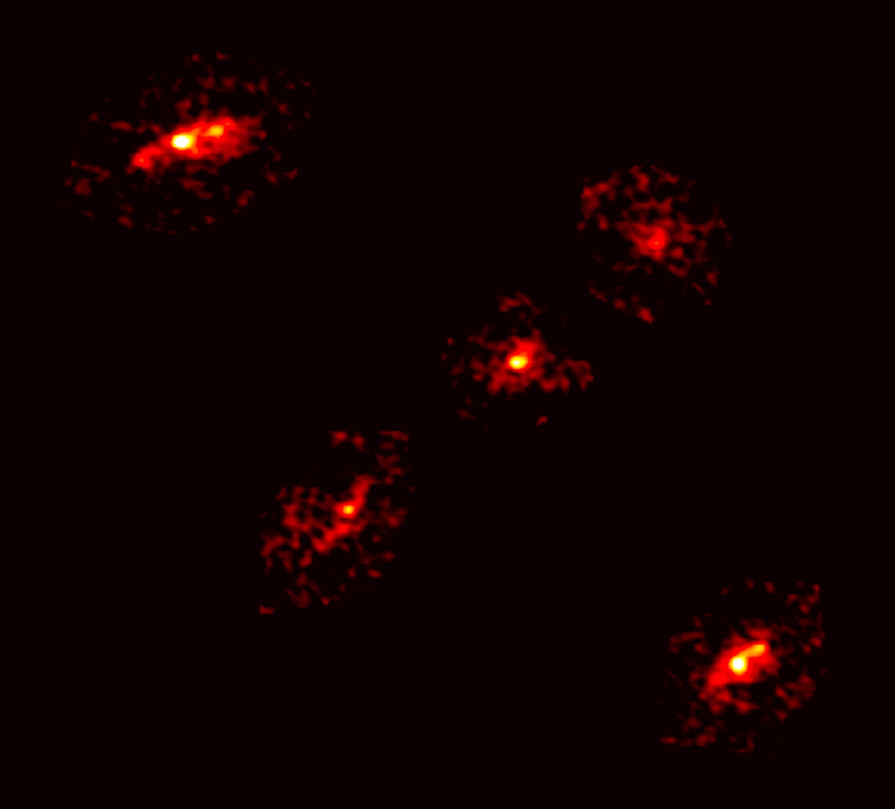 Cinco puntos de luz, que se muestran en rojo brillante. Cada punto muestra una brillante región central que está rodeada por una estructura generalizada y granular. Son imágenes de la misma galaxia distante. Palabras clave: efecto de lente gravitacional, Einsteinkreuz, Galaxy HERS-3.