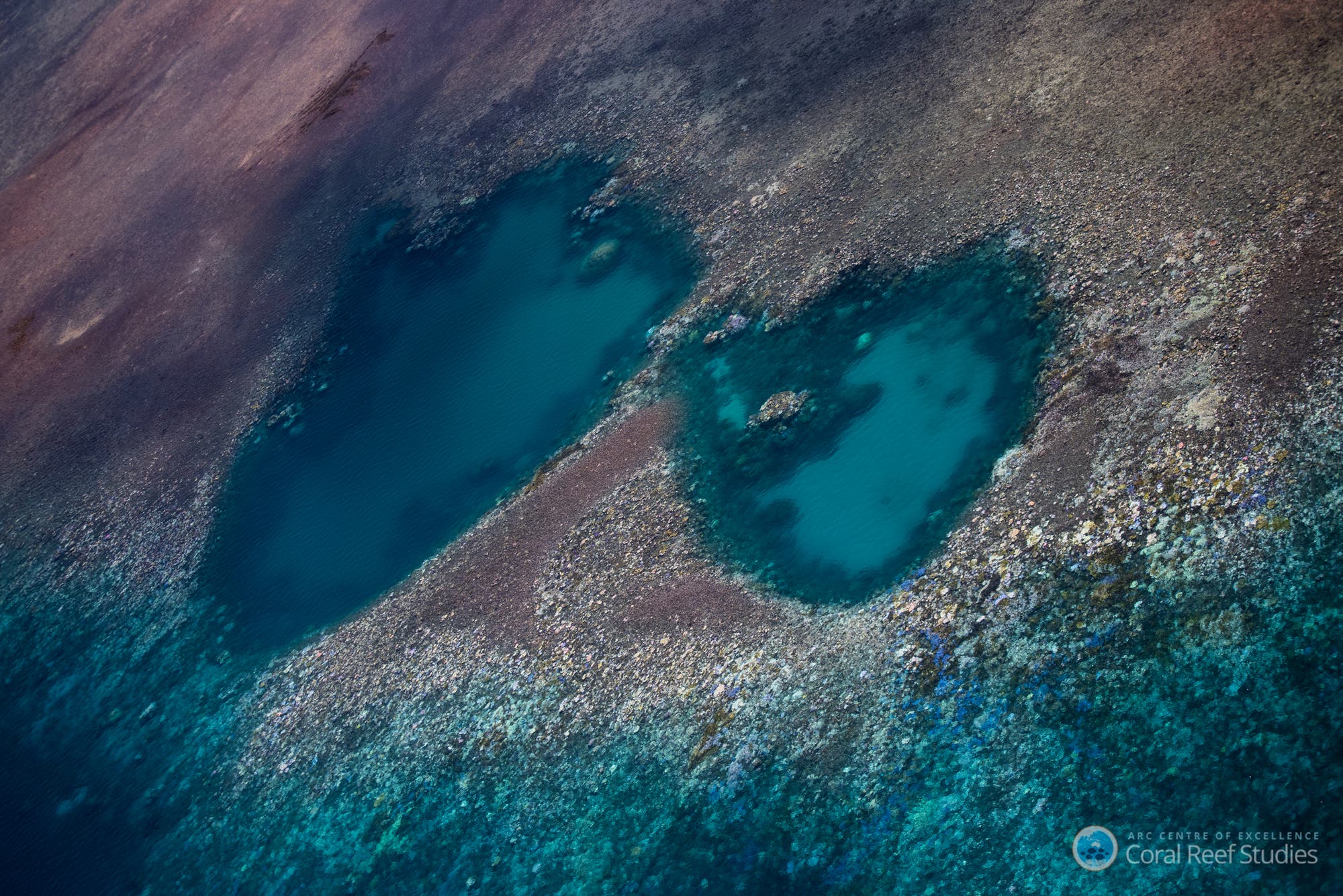 Bleiche am Great Barrier Reef