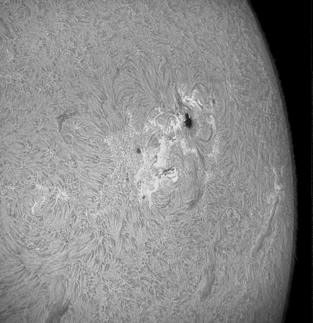 Manchas solares en el borde oriental del sol.