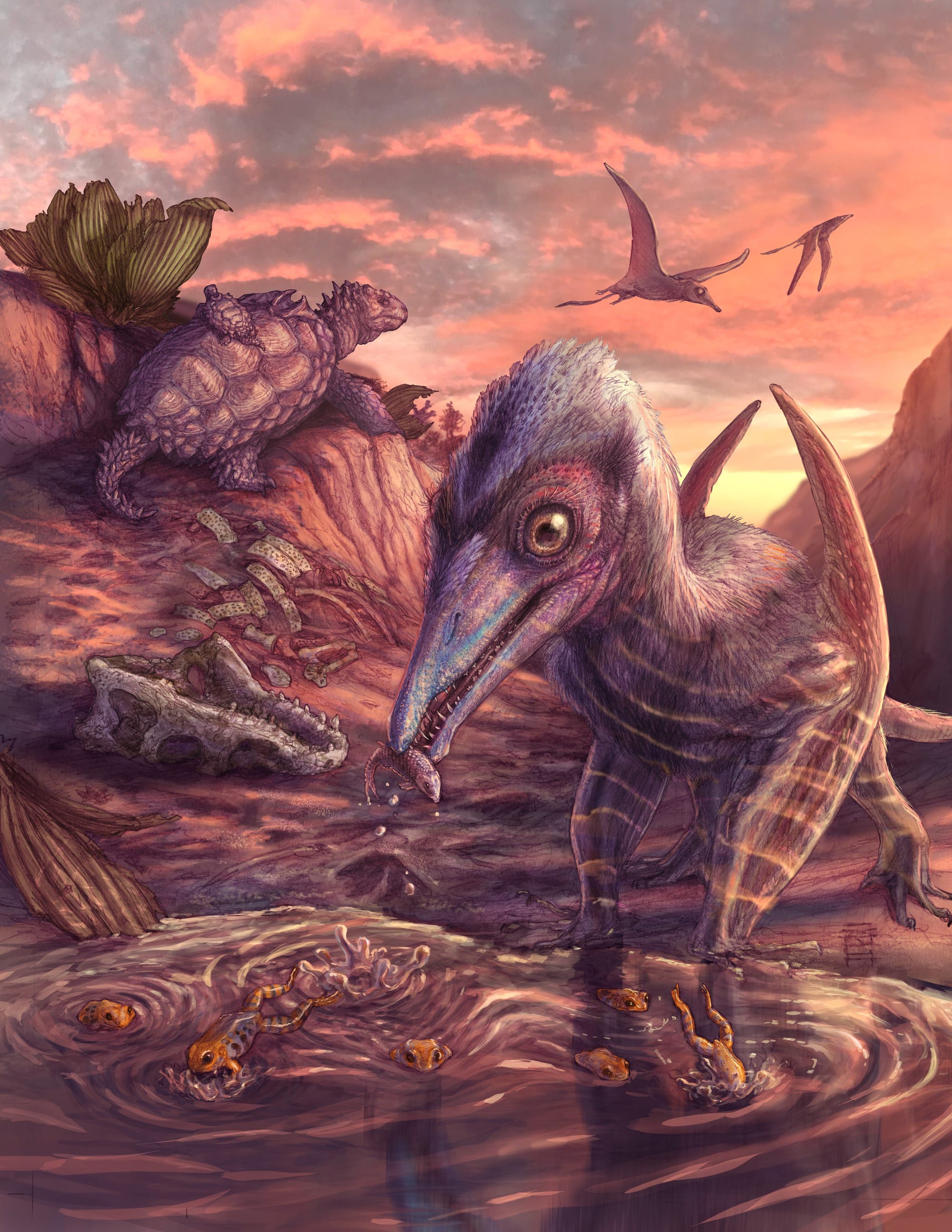 Eine prähistorische Szene bei Sonnenuntergang zeigt einen dinosaurierähnlichen Vogel, der kleinere Lebewesen in einem Wasserloch jagt und ein fischähnliches Wesen im mit Zähnen bewährten Schnabel hält. Im Hintergrund sind zwei fliegende Flugsaurier am Himmel zu sehen. Auf einem Felsen sitzt ein schildkrötenähnliches Tier, während Knochen und ein Schädel am Boden verstreut sind. Die Umgebung ist felsig mit spärlicher Vegetation. Die Farben des Himmels reichen von Rosa bis Orange und verleihen der Szene eine warme Atmosphäre.