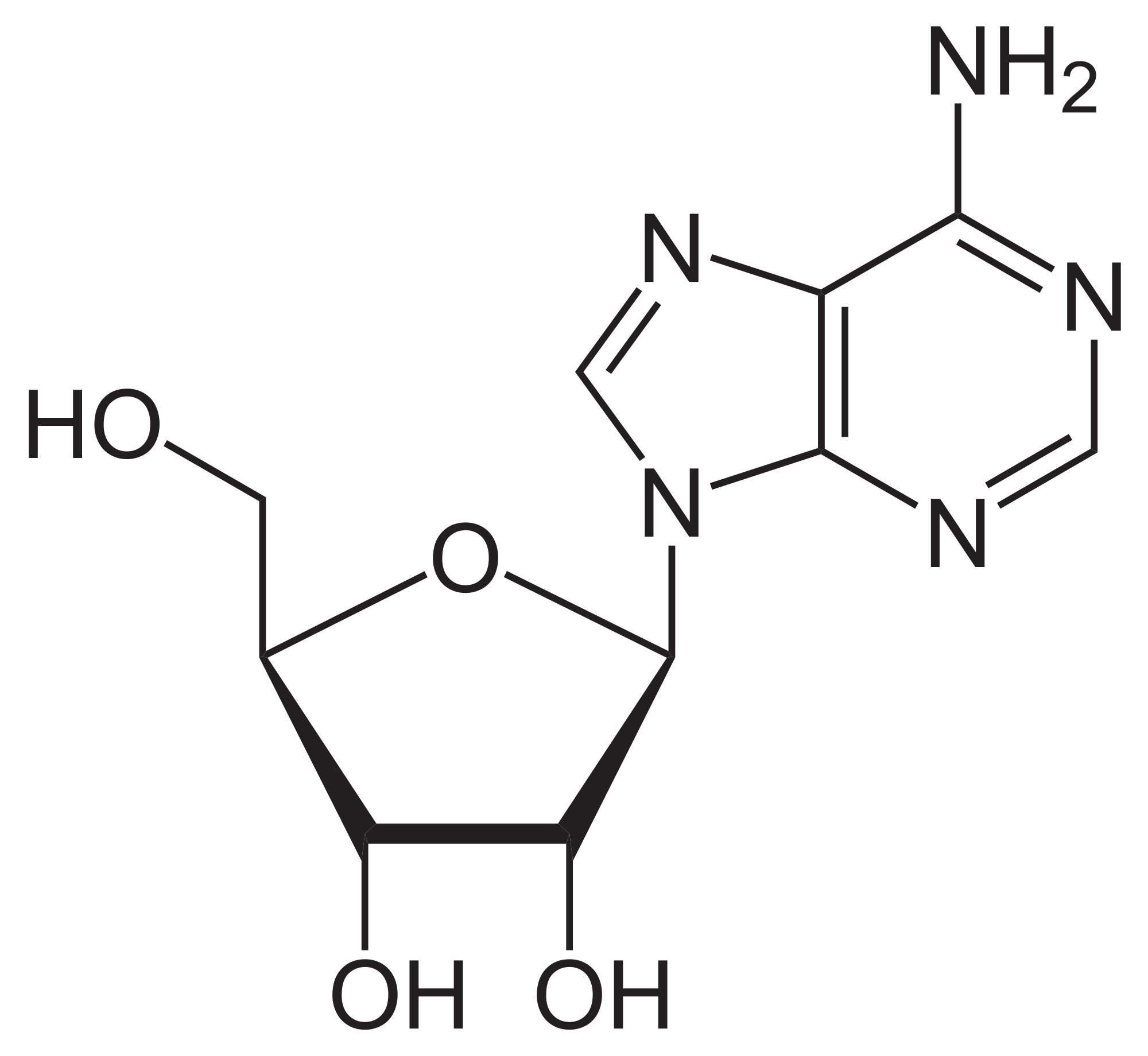 Adenosin