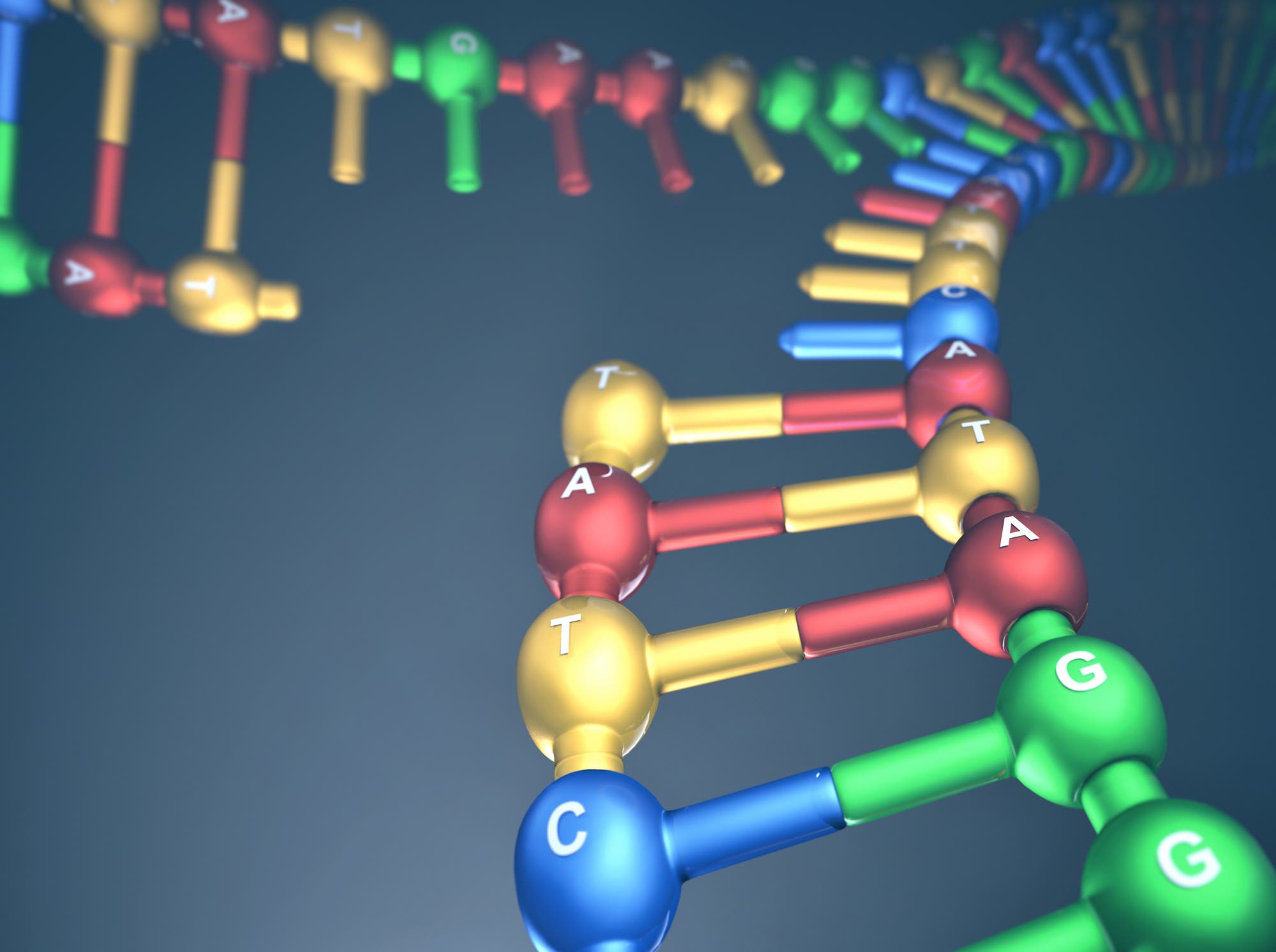 DNA-Doppelstrang Replikationsgabel