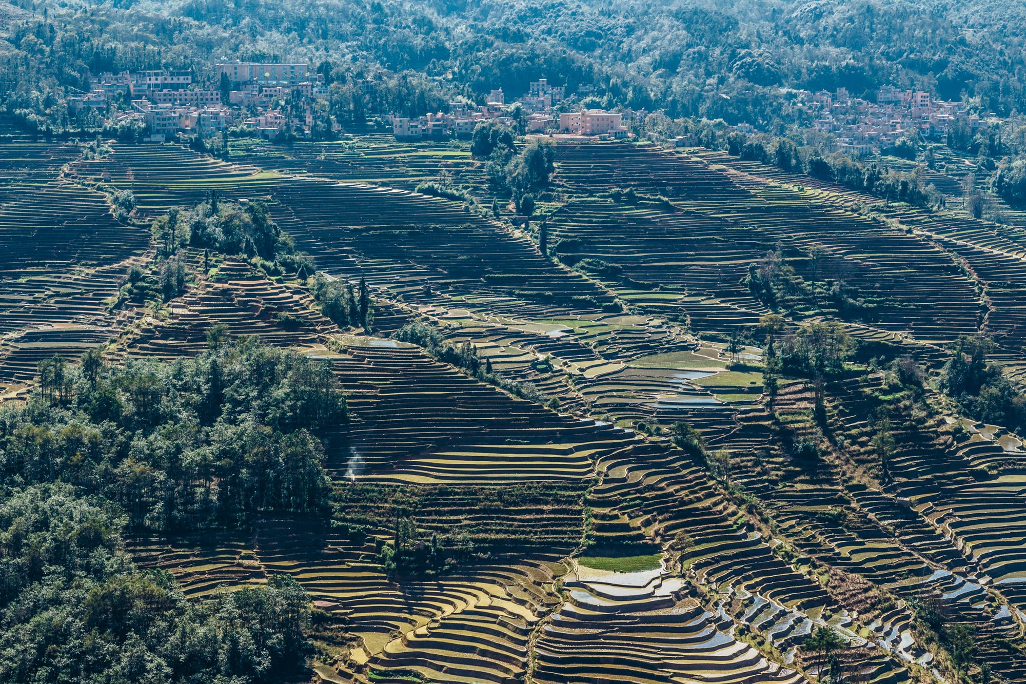 Reisterrassen in Honghe Hani, China