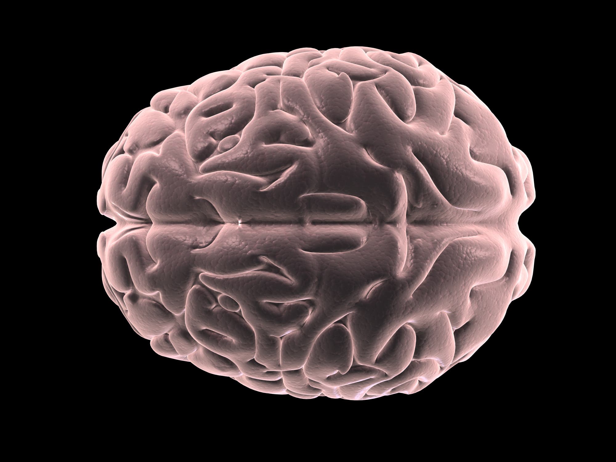 3D-erstelltes Gehirn vor schwarzem Hintergrund