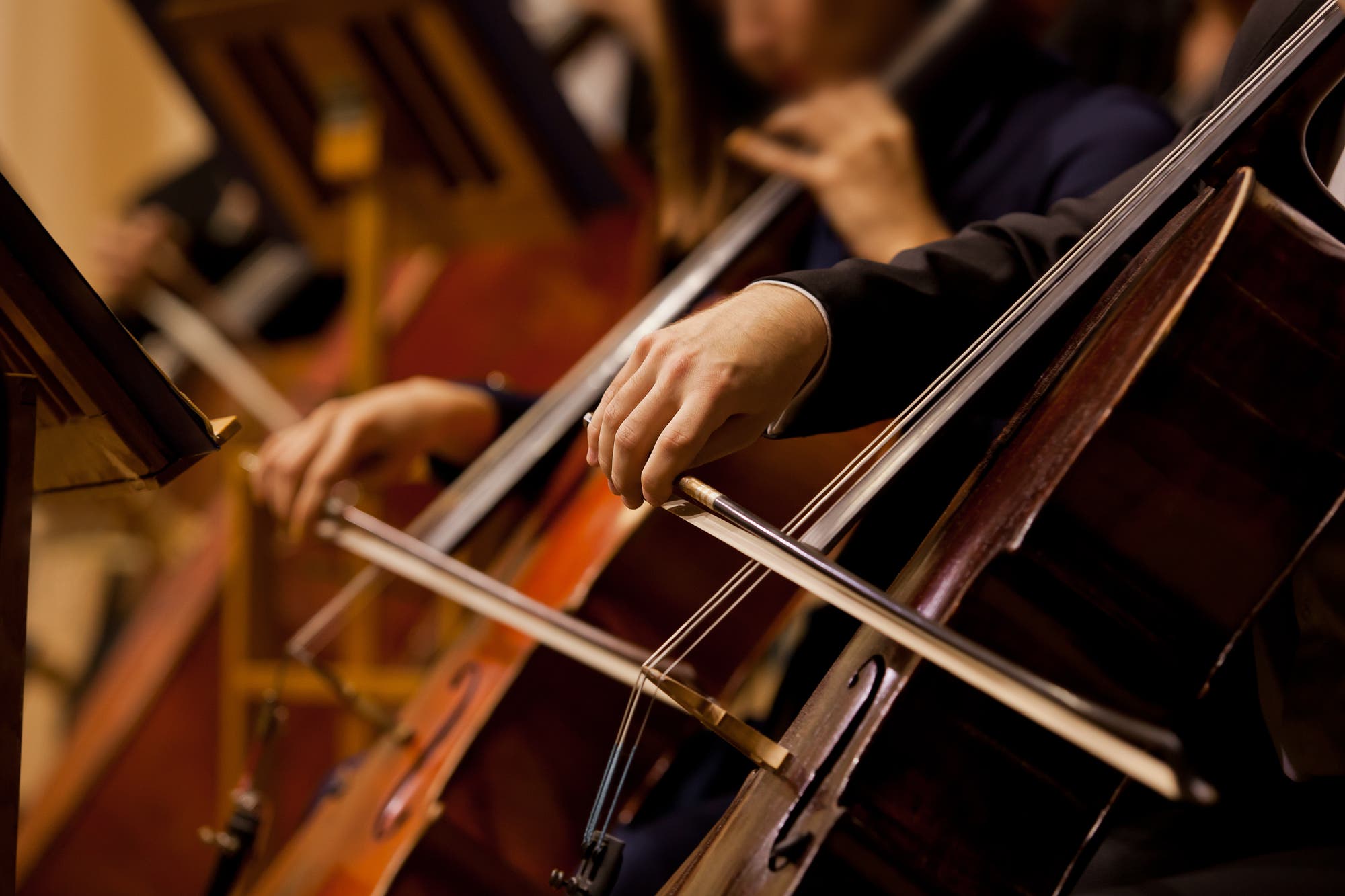 Mehrere Streichinstrumente spielende Musiker sitzen in einer Reihe, man sieht nur ihre Hände mit den Bögen.