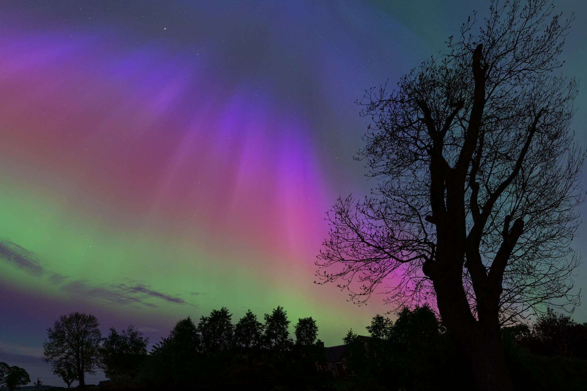 Aurora Borealis in Regenbogenfarben mit Silhouetten von Bäumen davor