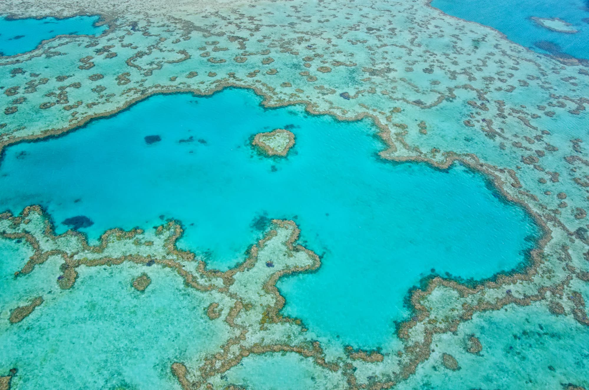 Das Great Barrier Reef von oben: türkisfarbenes Wasser durchzogen von Riffstrukturen