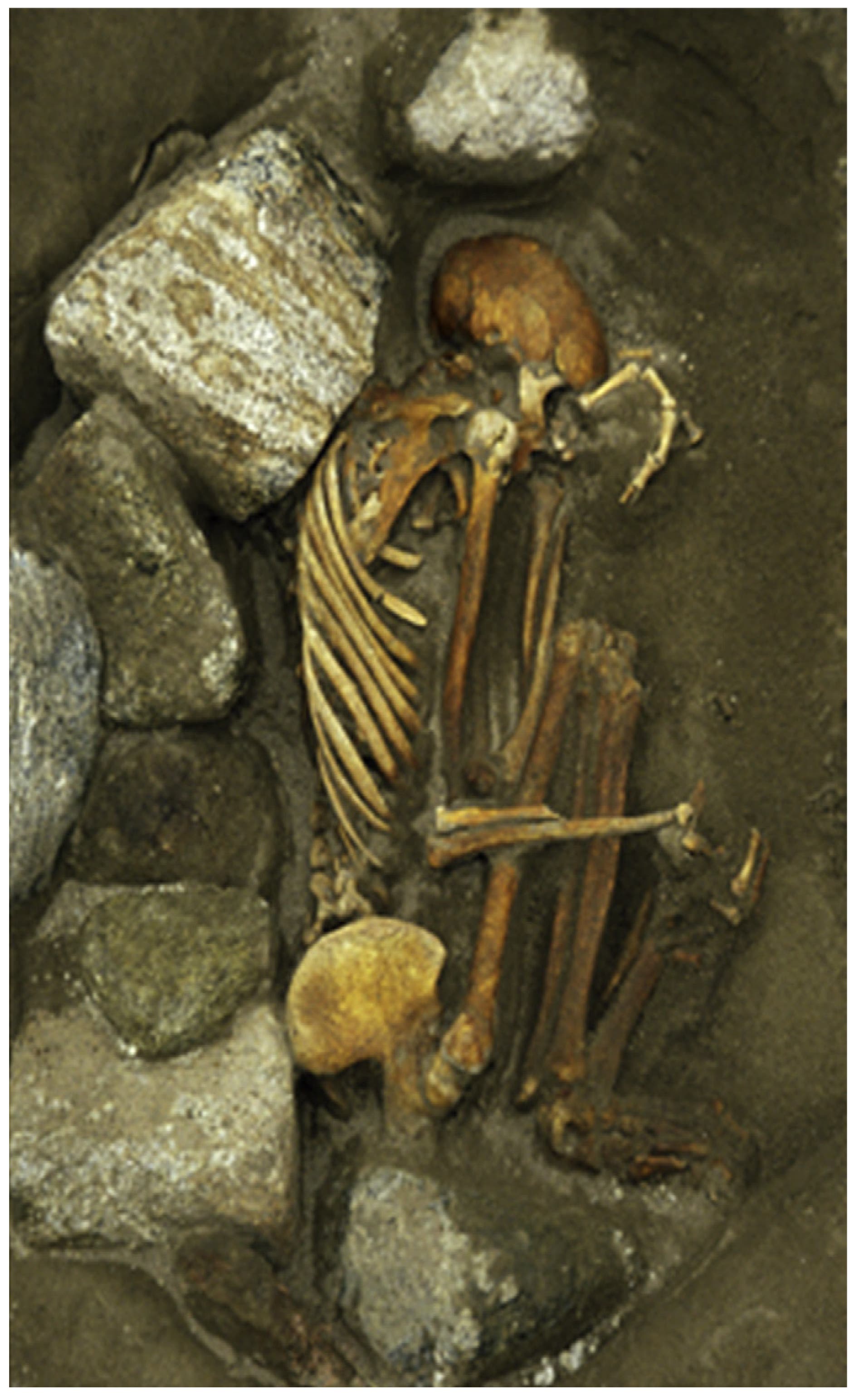Das weibliche Skelett aus dem bronzezeitlichen Cladh Hallan wurde aus den Überresten von mindestens drei verschiedenen Personen zusammengesetzt.