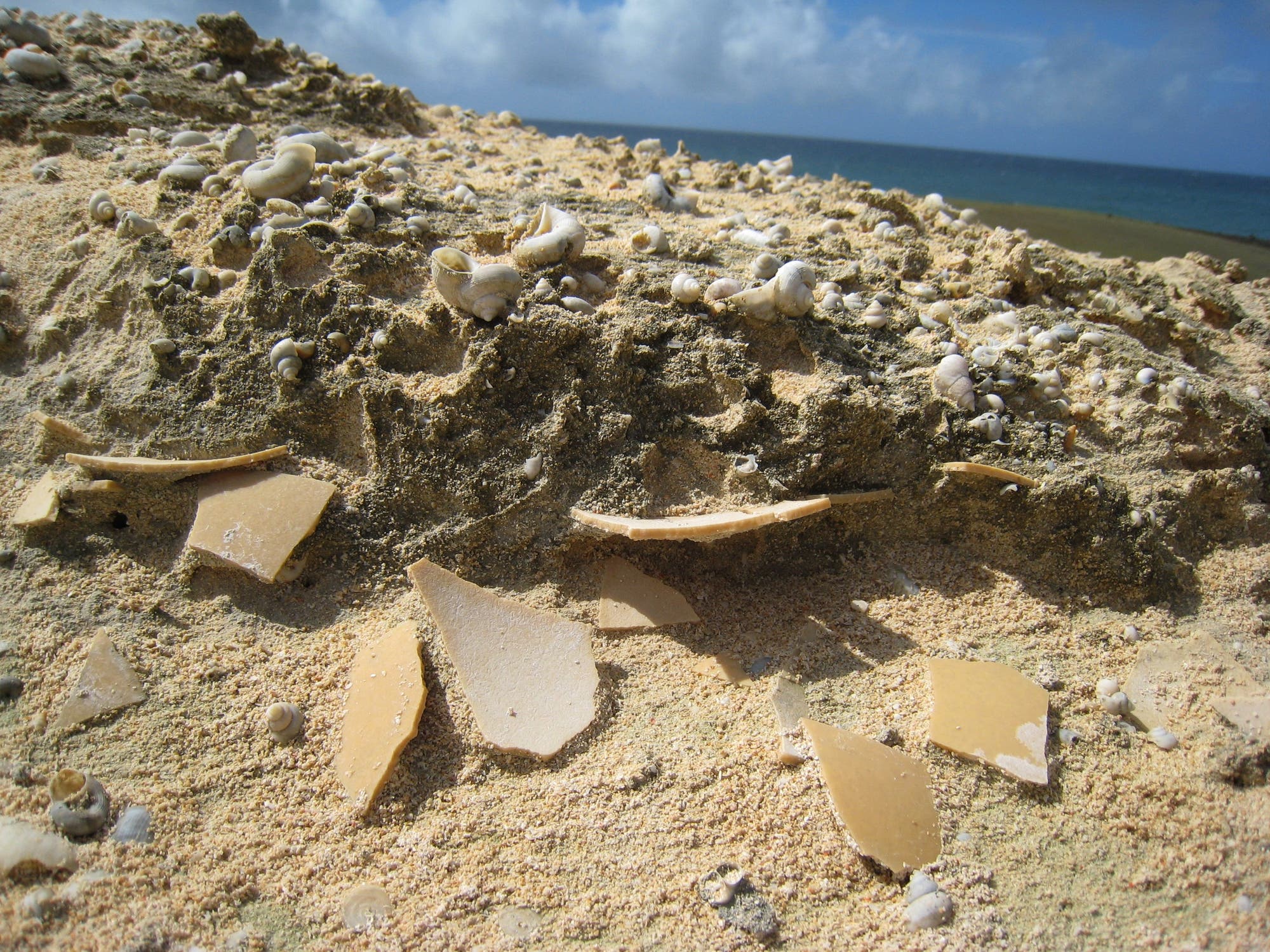 Eine Nahaufnahme eines Strands mit vielen verstreuten hellen Muscheln. Im Vordergrund liegen mehrere gebrochene, beige Eierschalenfragmente im Sand. Der Hintergrund zeigt das Meer am Horizont und blauen Himmel.