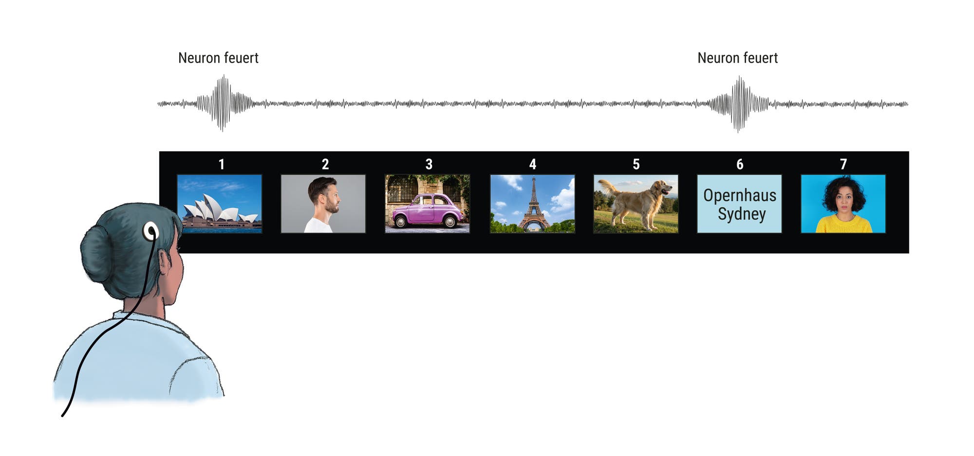 Eine Illustration zeigt eine Person mit einem Gehirnimplantat, das neuronale Impulse aufzeichnet. Oben ist eine Wellenform dargestellt, die die neuronale Aktivität zeigt. Darunter sind sieben Bilder nummeriert: 1. das Sydney Opera House, 2. ein Profilbild einer Person, 3. ein rotes Auto, 4. der Eiffelturm, 5. ein Hund, 6. der Text "Sydney Opera", 7. ein Porträt einer Person. Die neuronalen Impulse scheinen mit den Bildern 1 und 6 in Verbindung zu stehen.