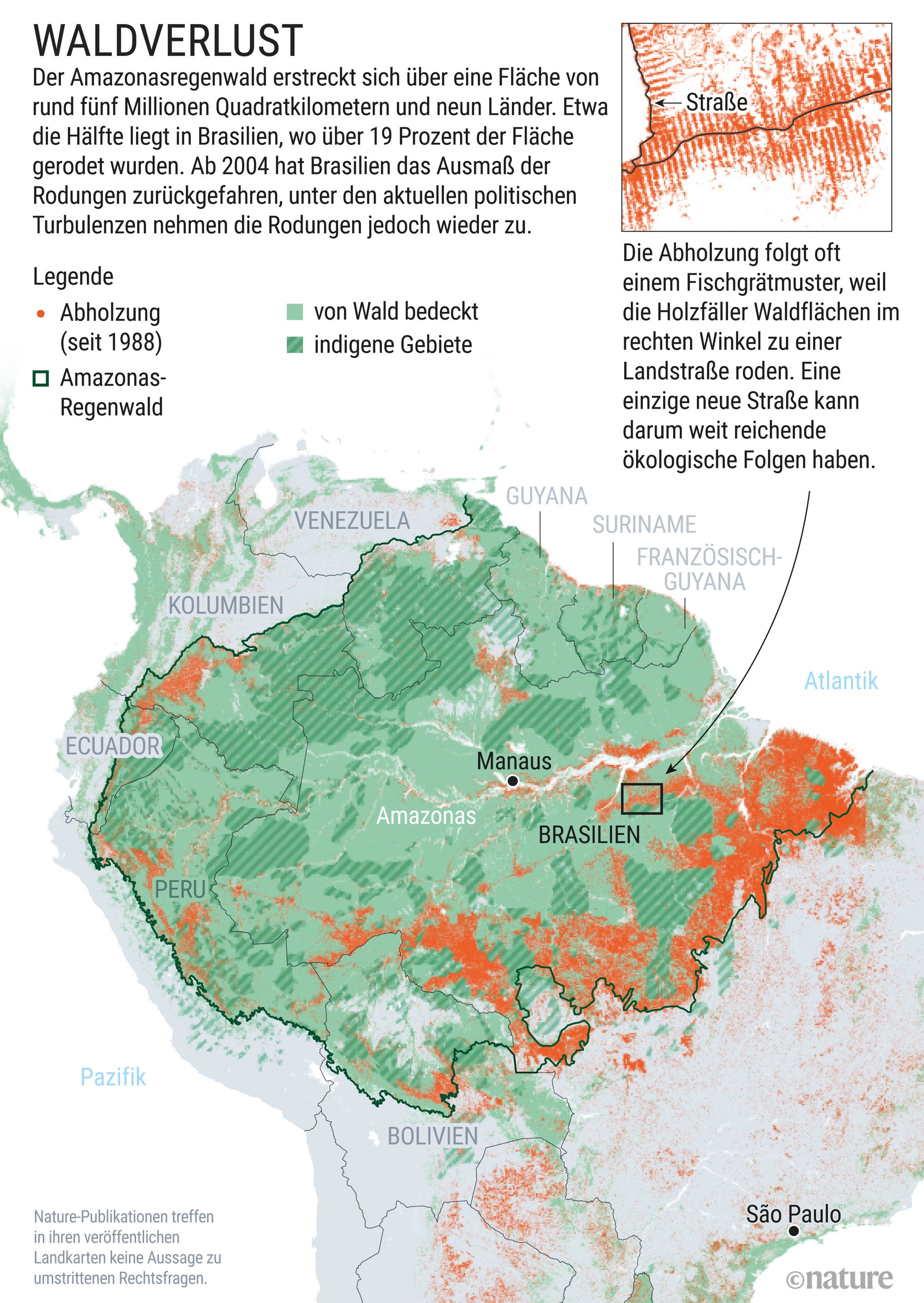 Große Teile des Regenwald-Ökosystems sind bereits abgeholzt