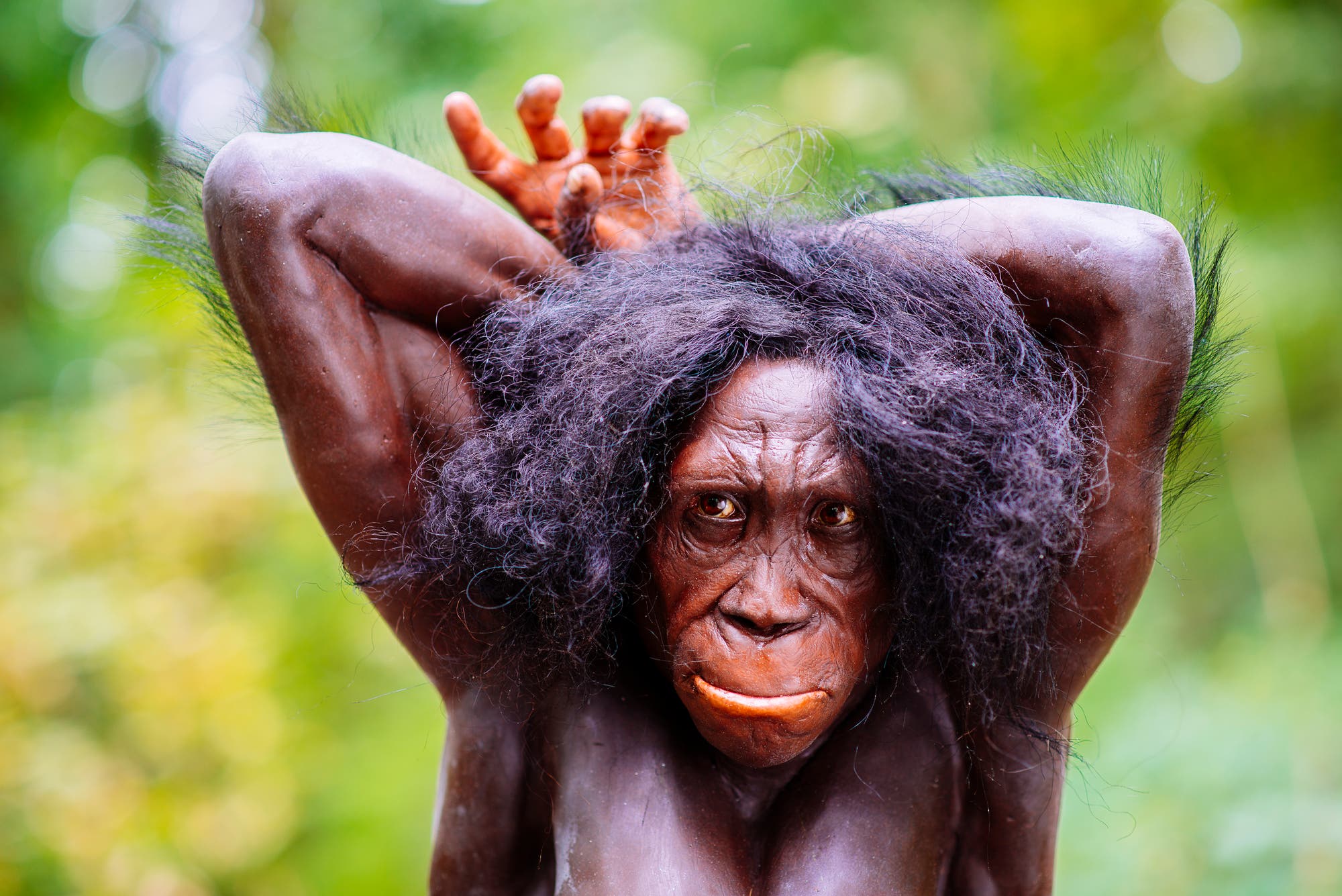 Rekonstruktion von Australopithecus sediba