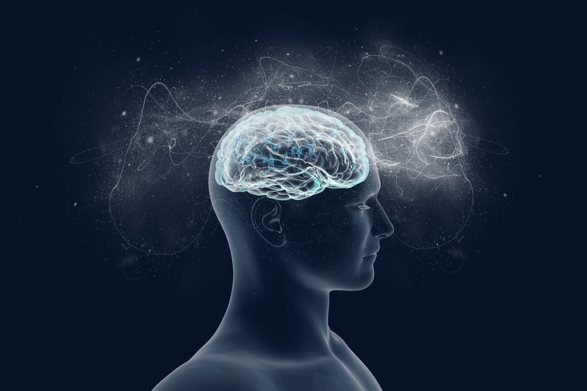 Das Gehirn – Sitz des Bewusstseins