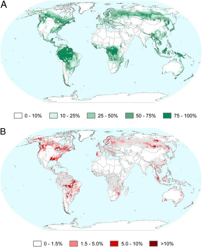 Globale Waldbedeckung und -rodung