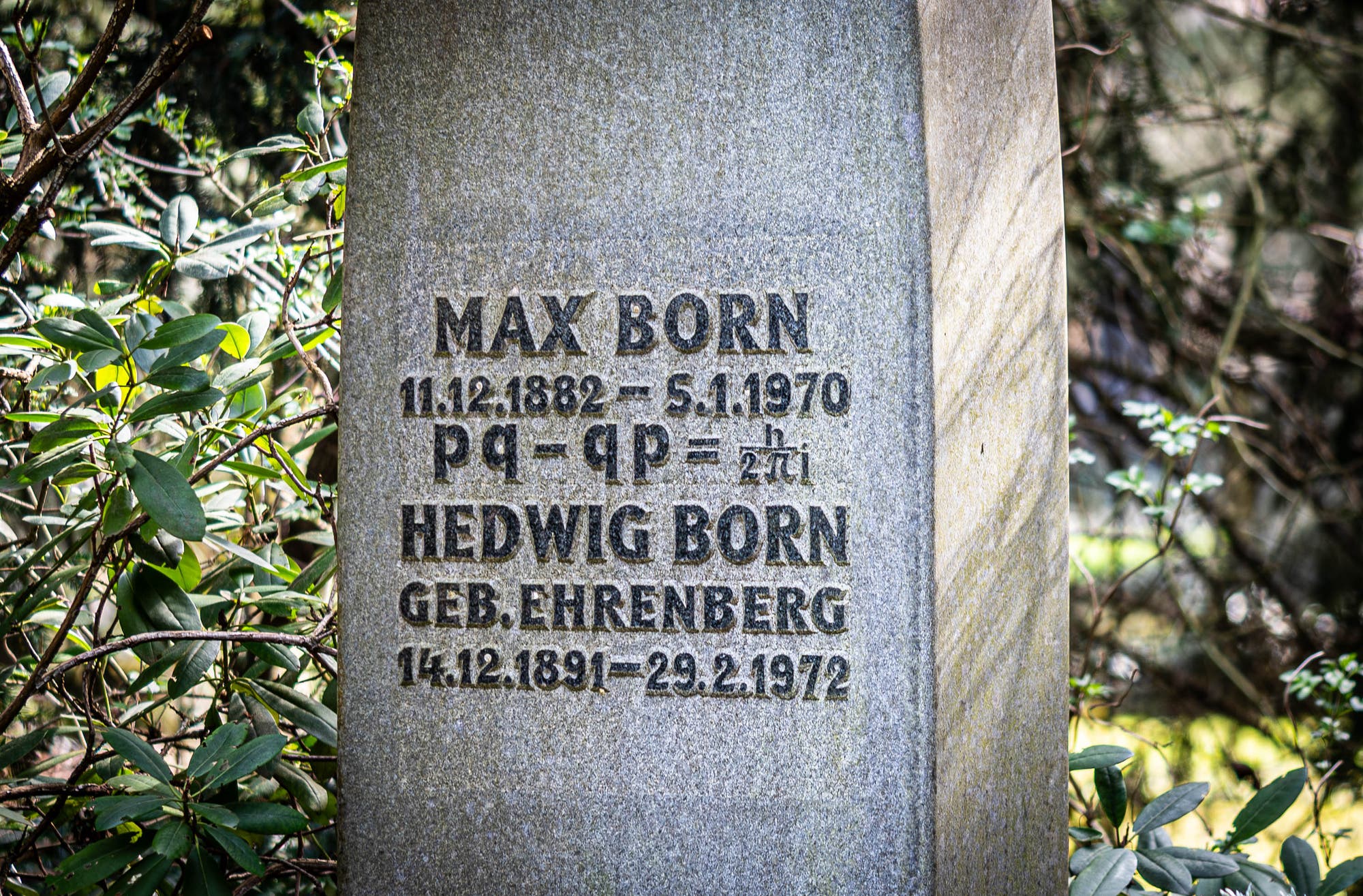 Grabstein mit der Inschrift für Max Born und Hedwig Born. Max Born: 11.12.1882 – 5.1.1970, darunter eine mathematische Formel: pq – qp = h/2πi. Hedwig Born, geb. Ehrenberg: 14.12.1891 – 29.2.1972. Der Stein ist von Pflanzen umgeben.