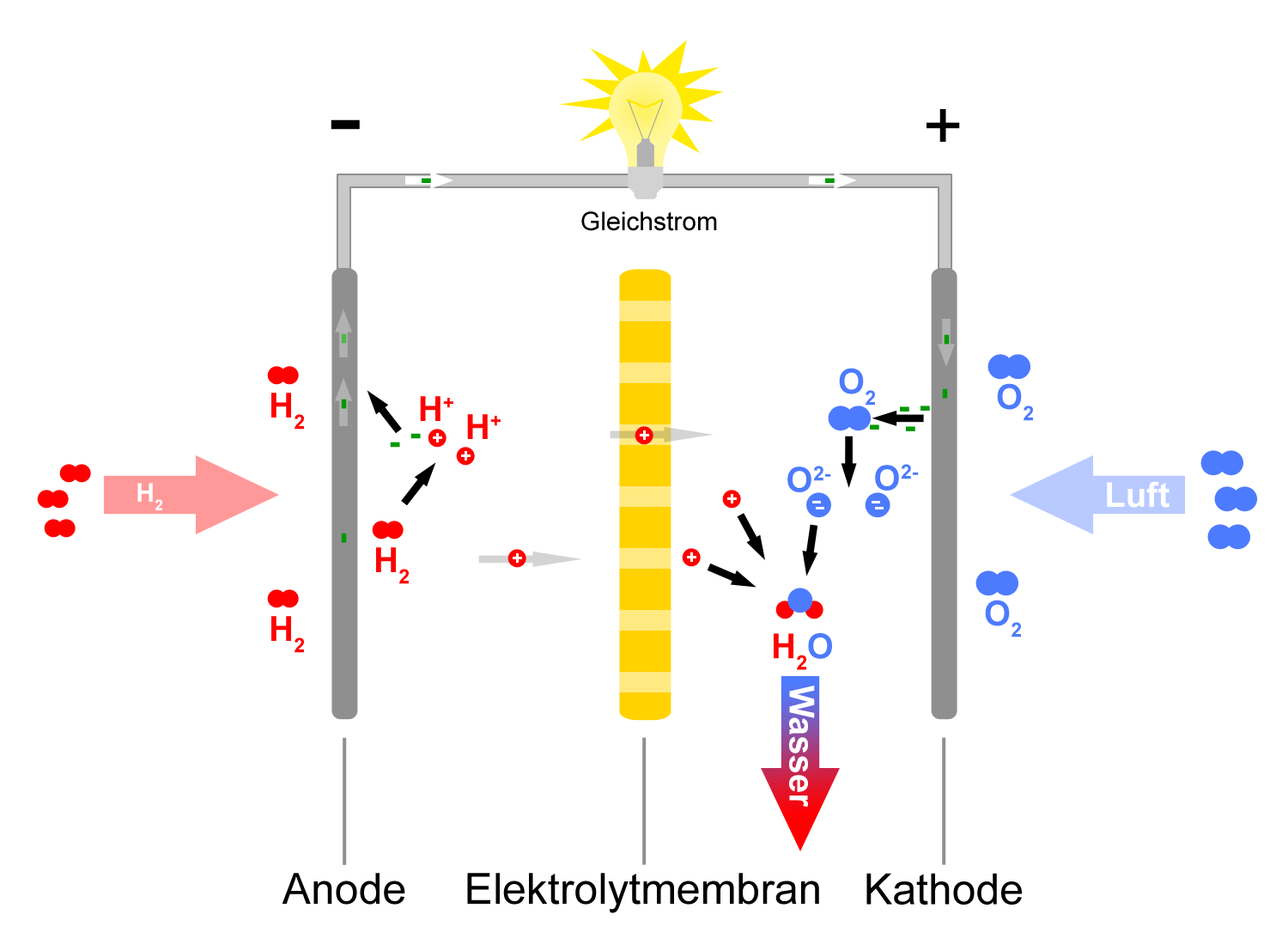 Schematische Darstellung einer Brennstoffzelle und ihrer Funktionsweise