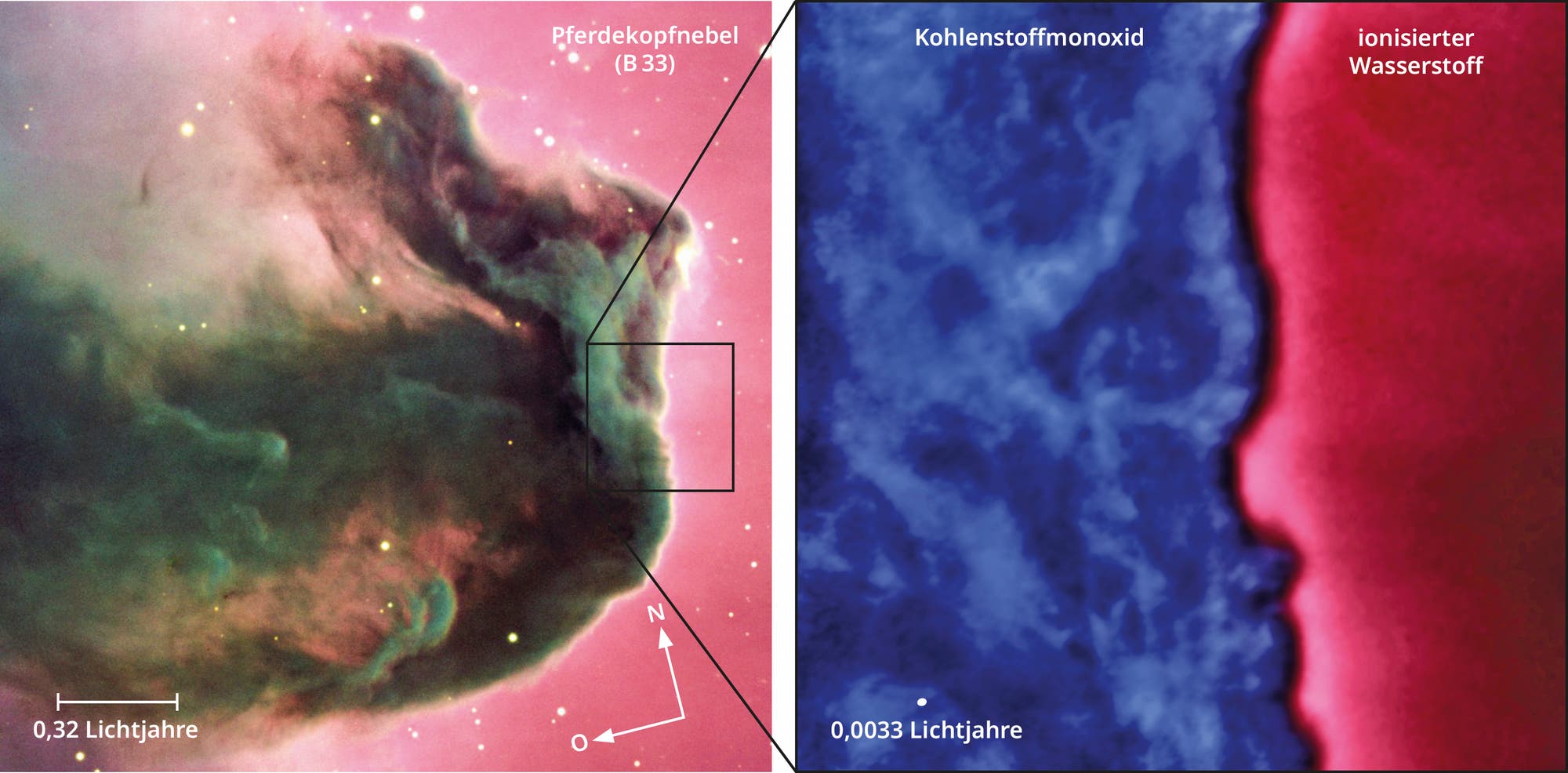 Das Bild zeigt den Pferdekopfnebel im Sternbild Orion bei sichtbaren Wellenlängen, sowie einen vergrößerten Ausschnitt. Dieser Wurde im Radiobereich aufgenommen und zeigt den schmalen Übergangsbereich zwischen kaltem und ionisiertem Gas. 